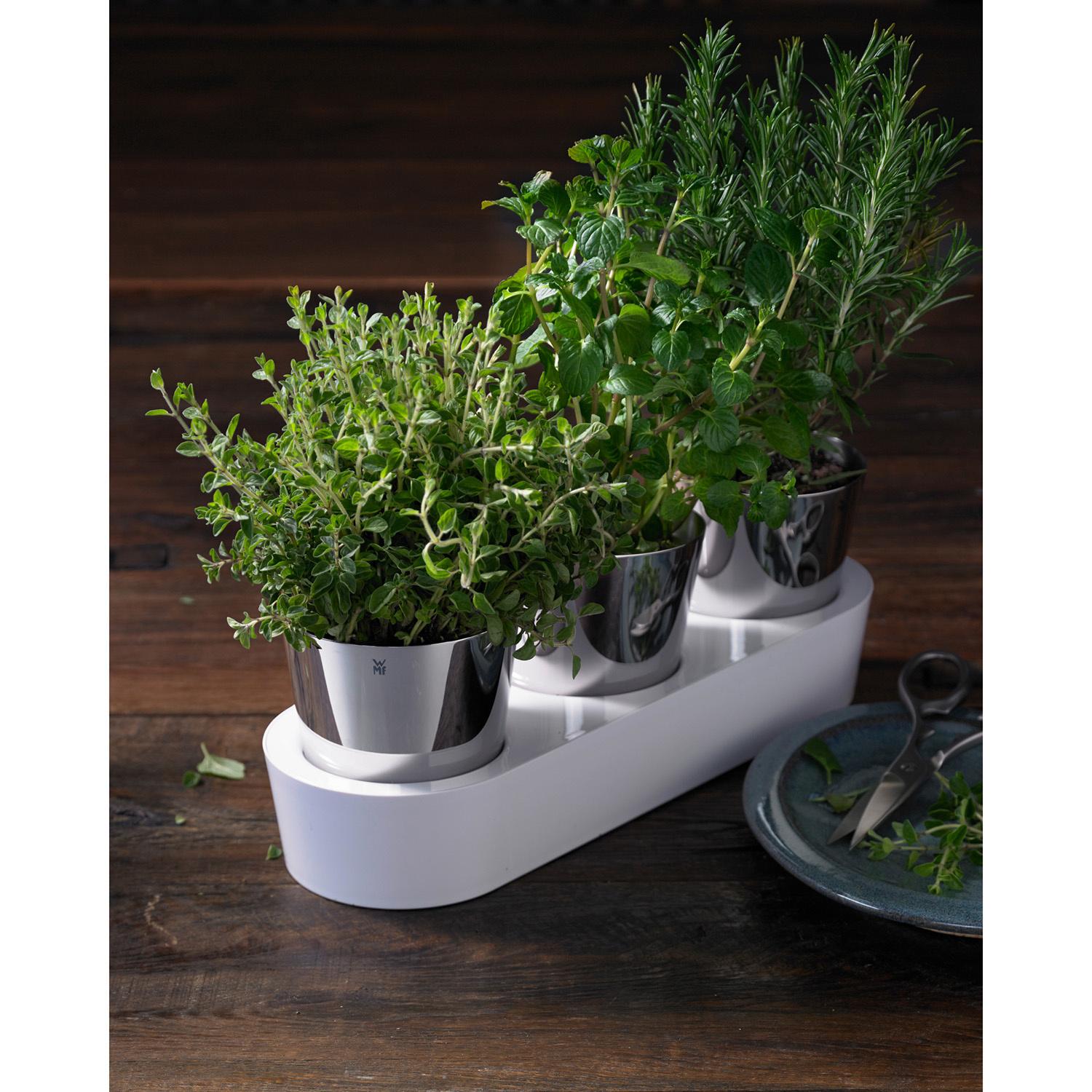 Produktbild WMF Kräutergarten 3tlg 5 von 6