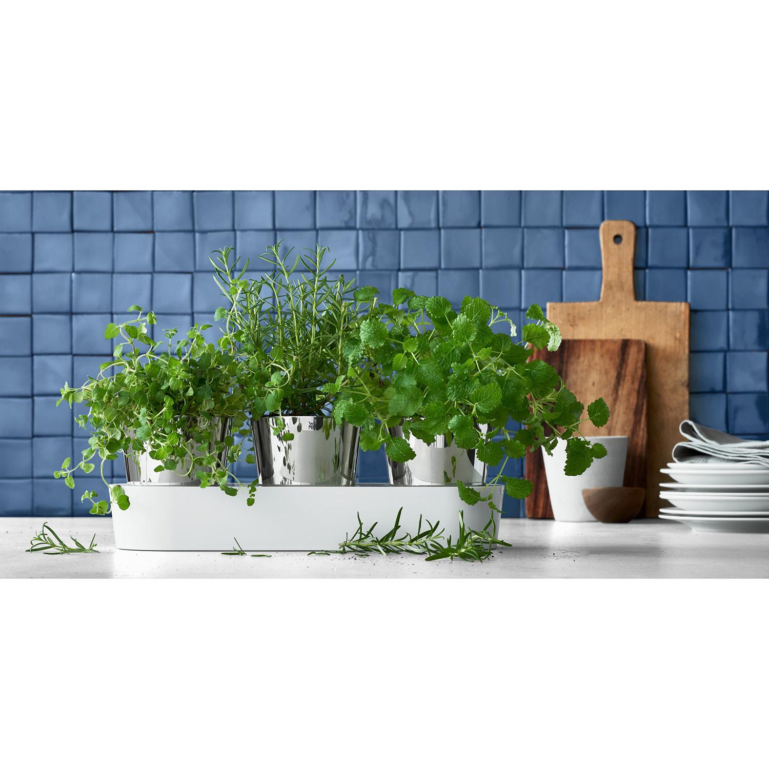 Produktbild WMF Kräutergarten 3tlg 6 von 6