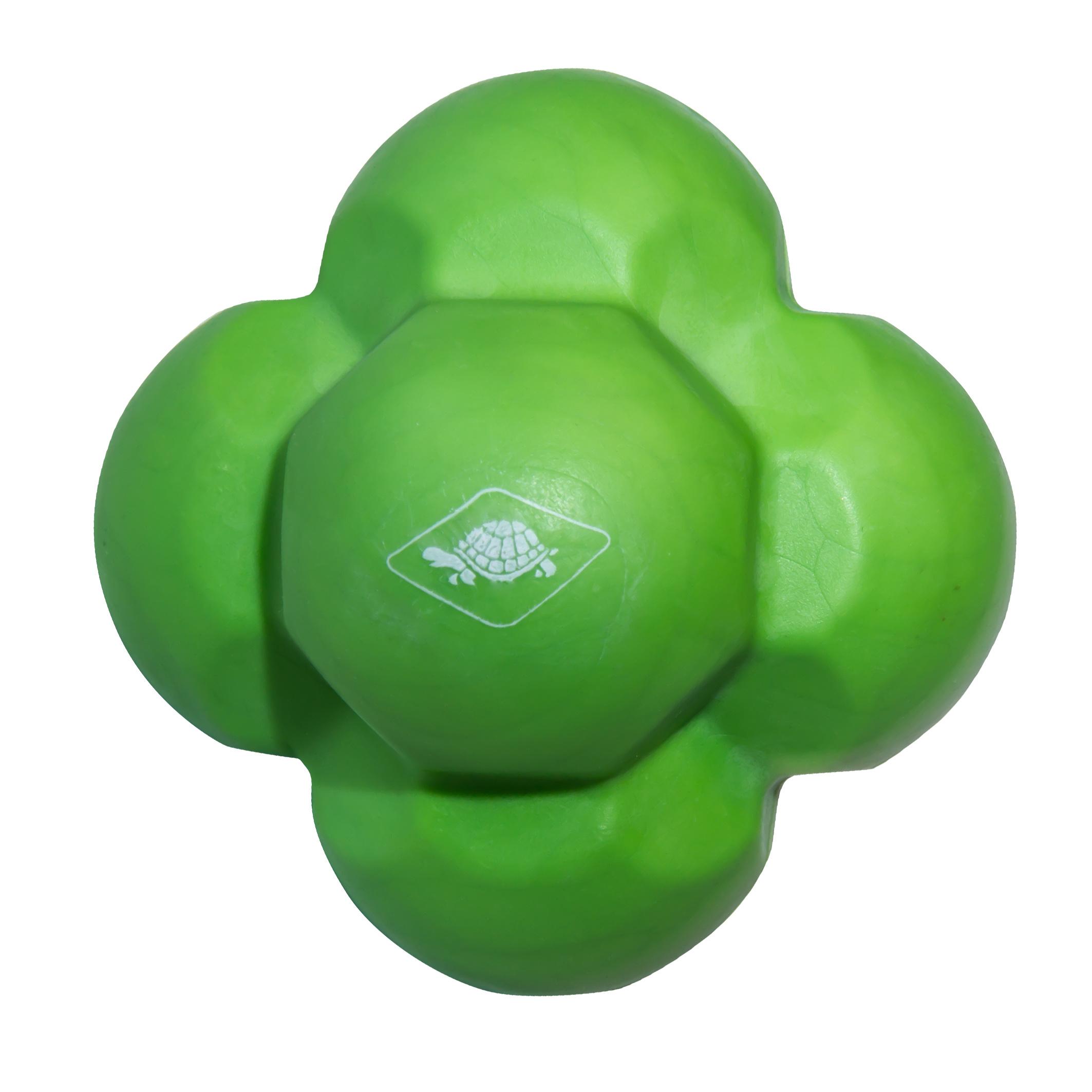 Schildkröt-Fitness - Reaction Ball