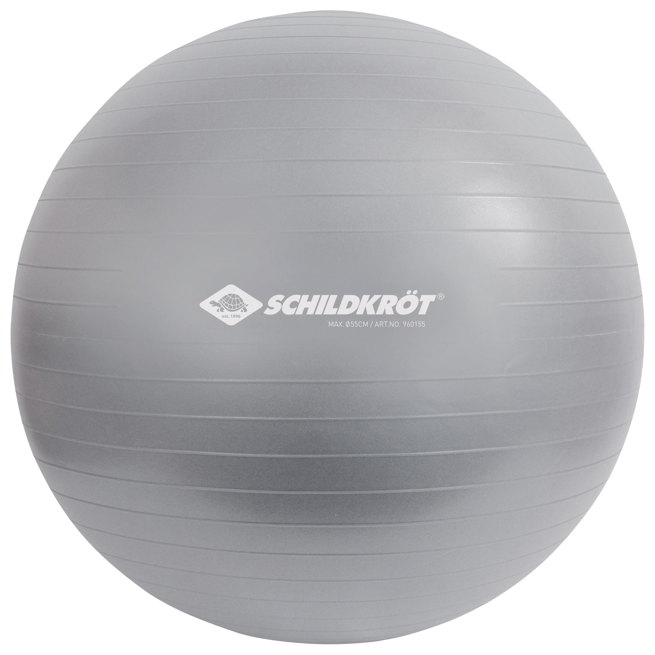 Schildkröt-Fitness - Gymnastikball 55 cm, phthalatfrei, mit Ballpumpe, silber