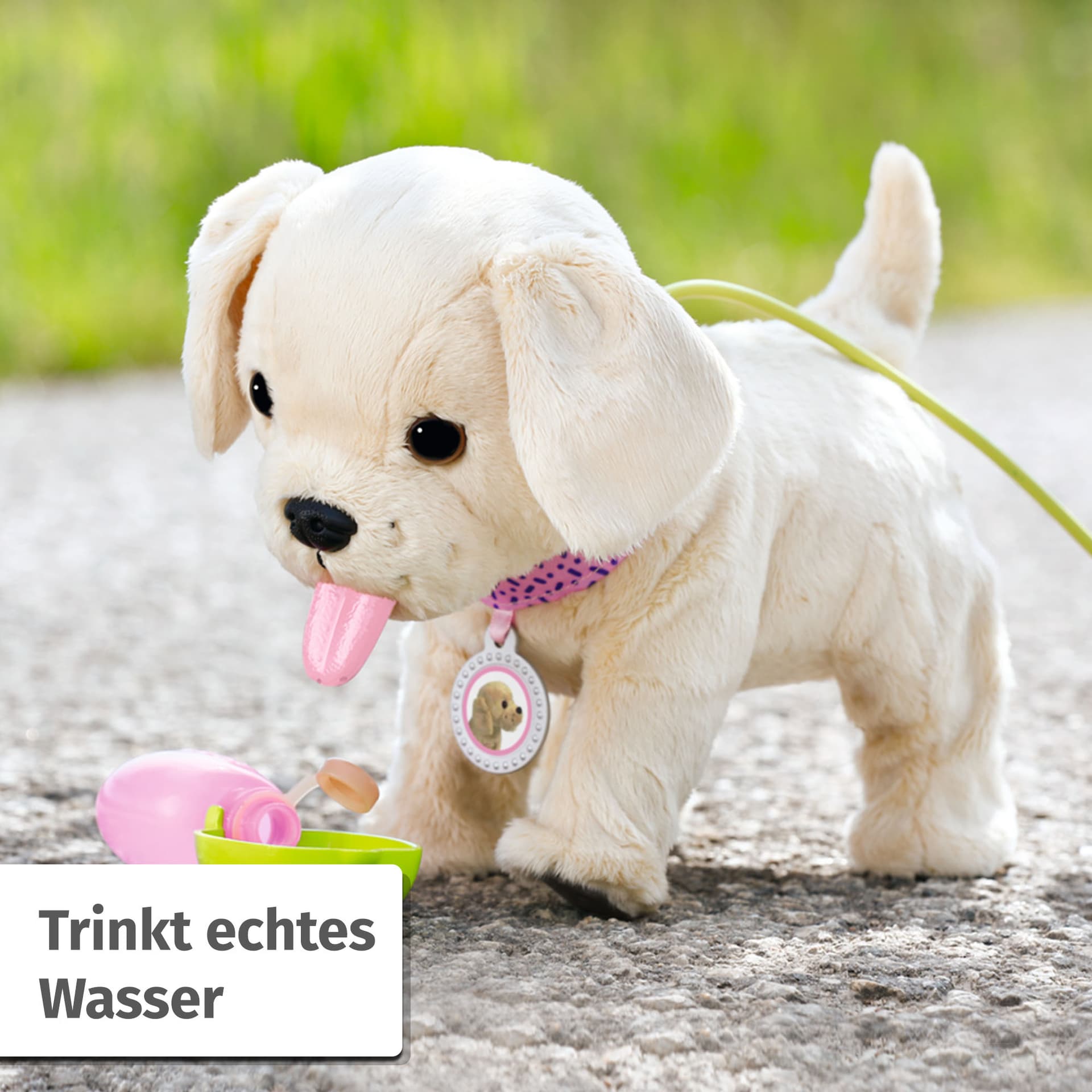 baby-born-mein-hund-lucky-mit-box-online-bestellen-m-ller