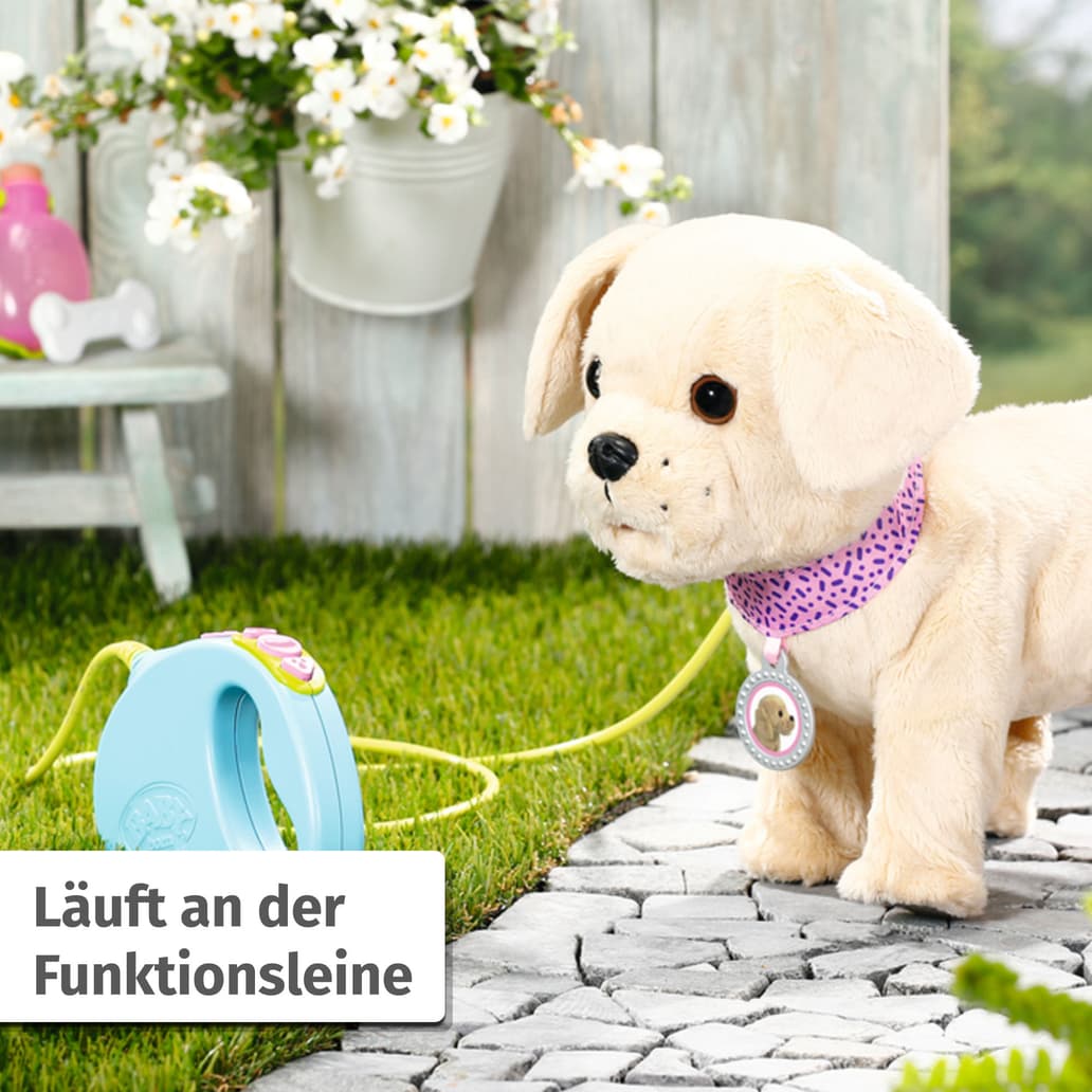 baby-born-mein-hund-lucky-mit-box-online-bestellen-m-ller