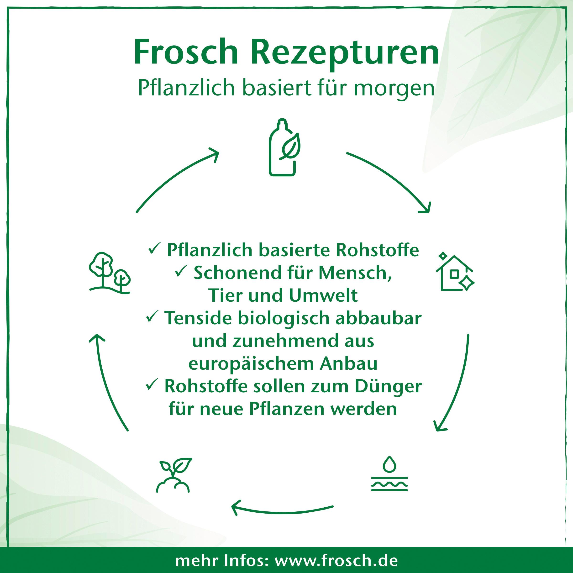 Produktbild Frosch Kalklöse-Essenz Essig 2 von 4