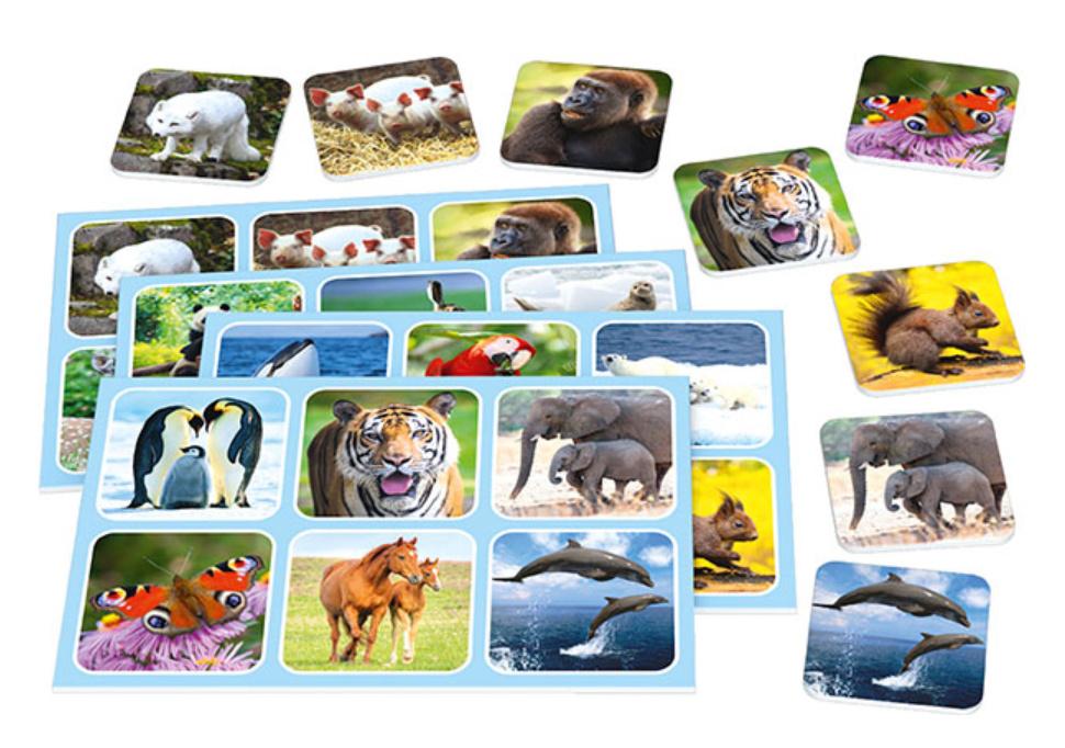 Produktbild Schmidt Spiele - Zoo Lotto 2 von 3