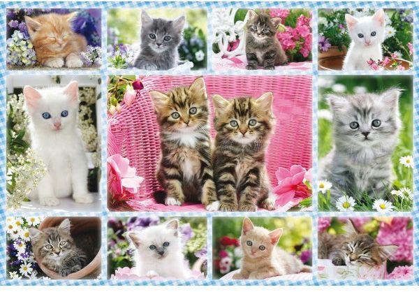 Produktbild Schmidt Spiele - Kinderpuzzle - Katzenbabys, 100 Teile 3 von 4