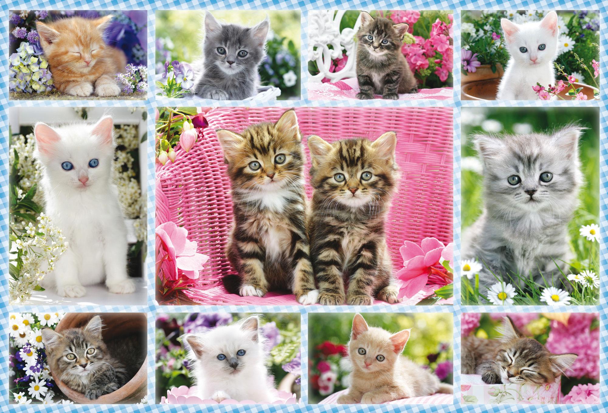 Produktbild Schmidt Spiele - Kinderpuzzle - Katzenbabys, 100 Teile 4 von 4