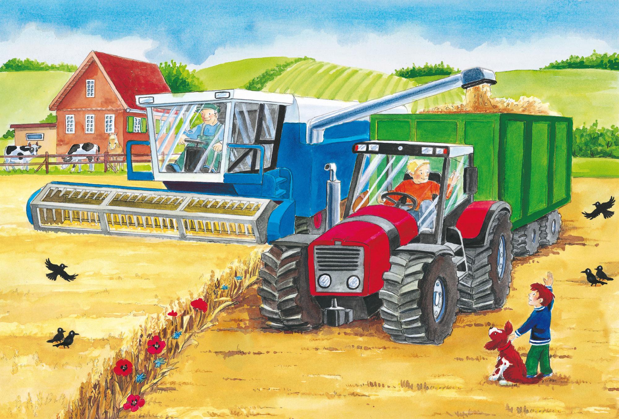 Produktbild Schmidt Spiele Kinderpuzzle Auf dem Bauernhof, 3x24 Teile 56216 2 von 4