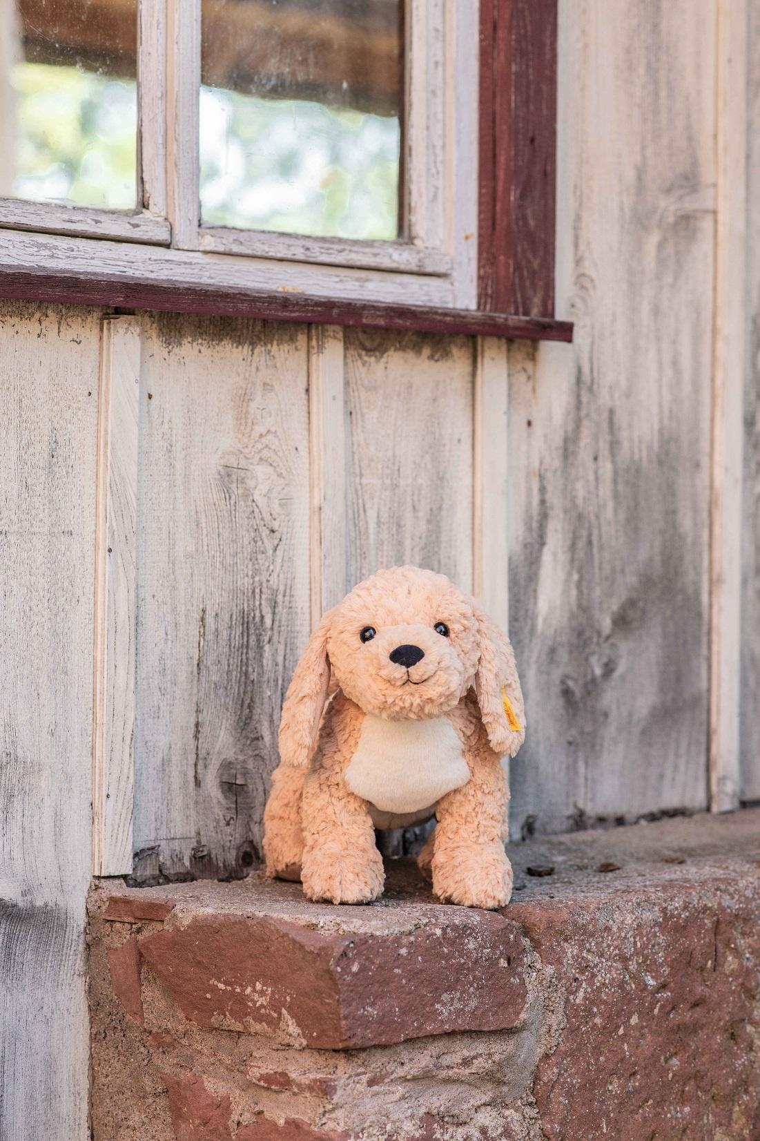 Produktbild Steiff - Soft Cuddly Friends Berno Goldendoodle 36 cm 4 von 7