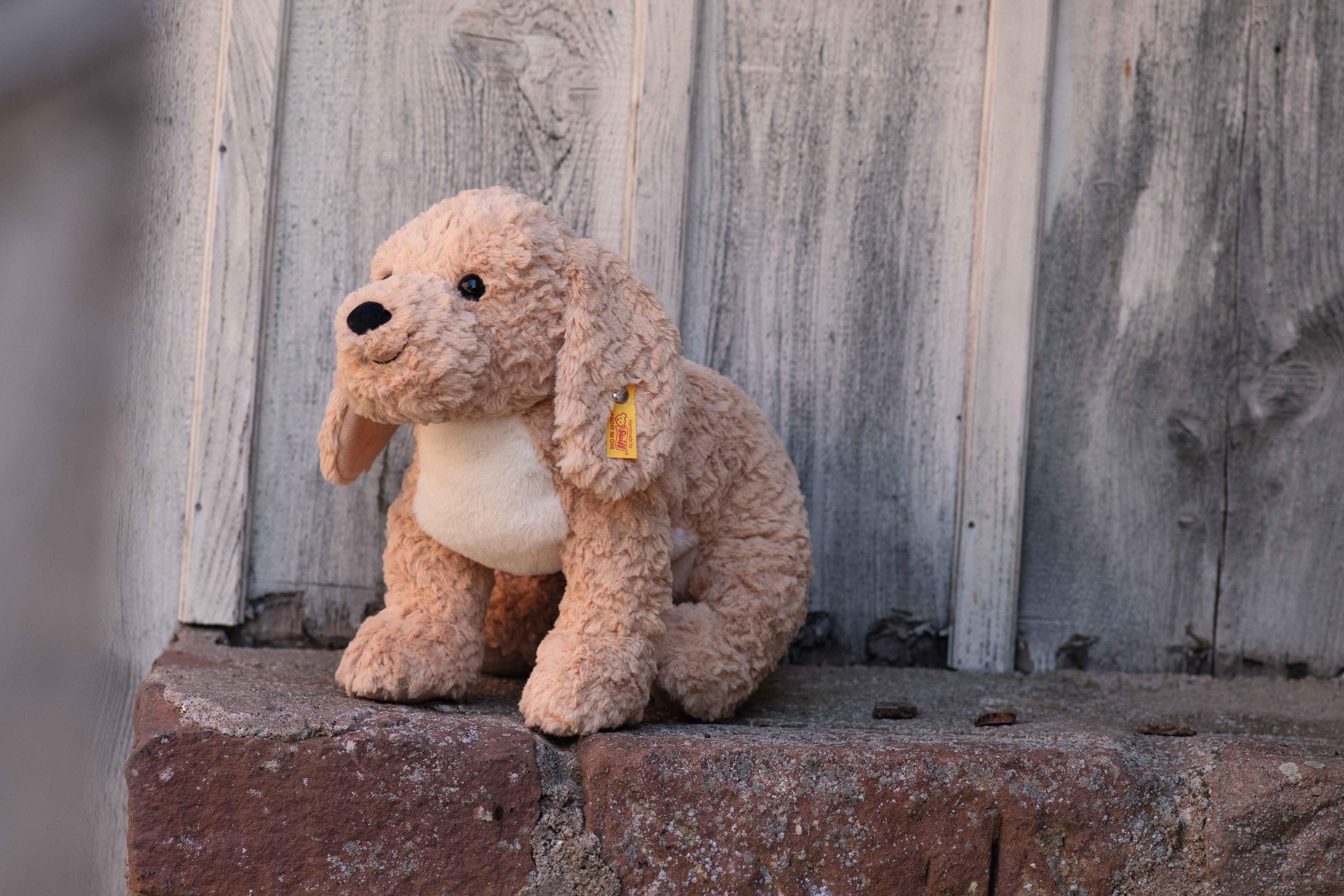 Produktbild Steiff - Soft Cuddly Friends Berno Goldendoodle 36 cm 5 von 7
