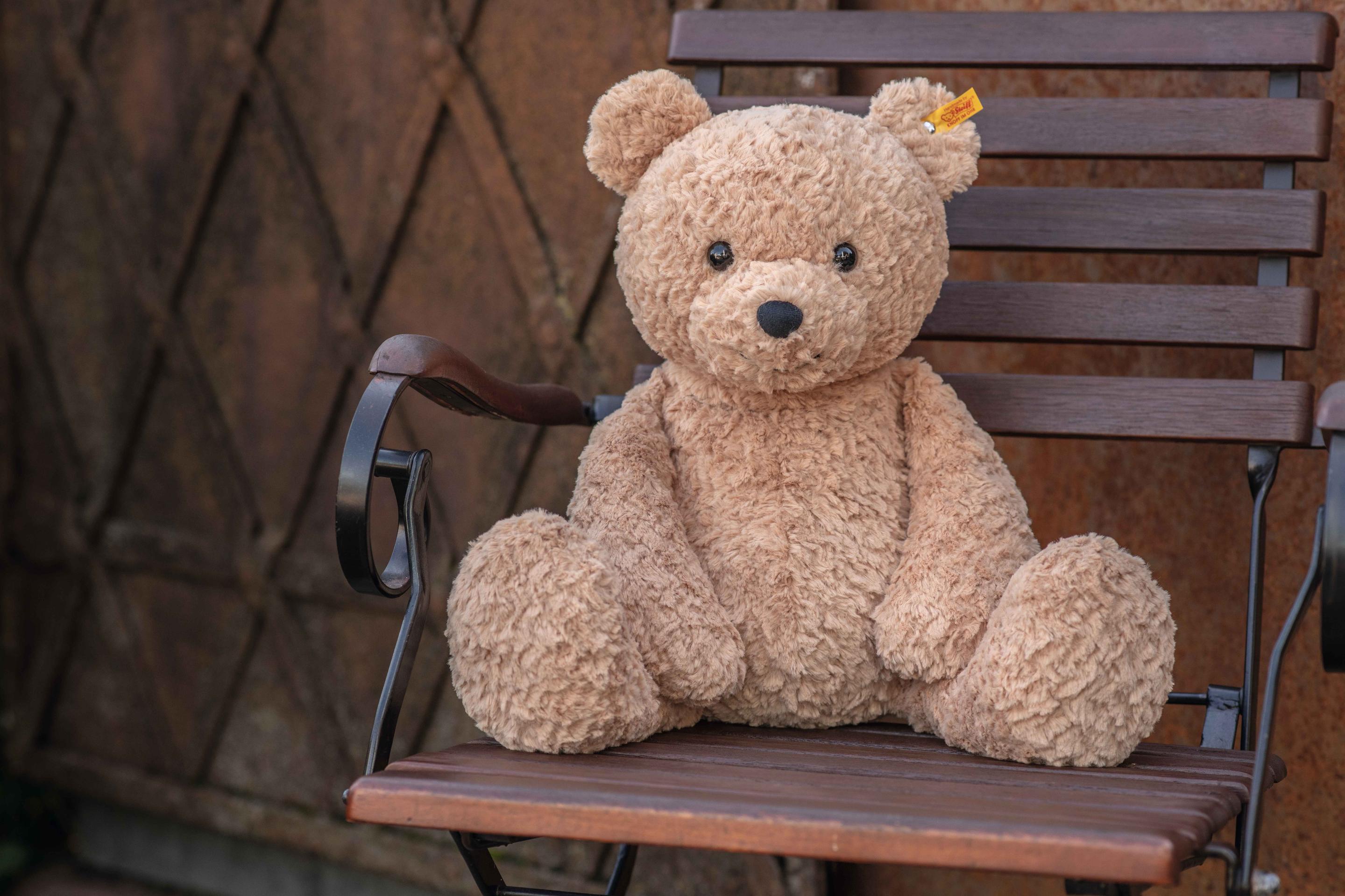 Produktbild Steiff - Soft Cuddly Friends Jimmy Teddybär 55 cm 3 von 9
