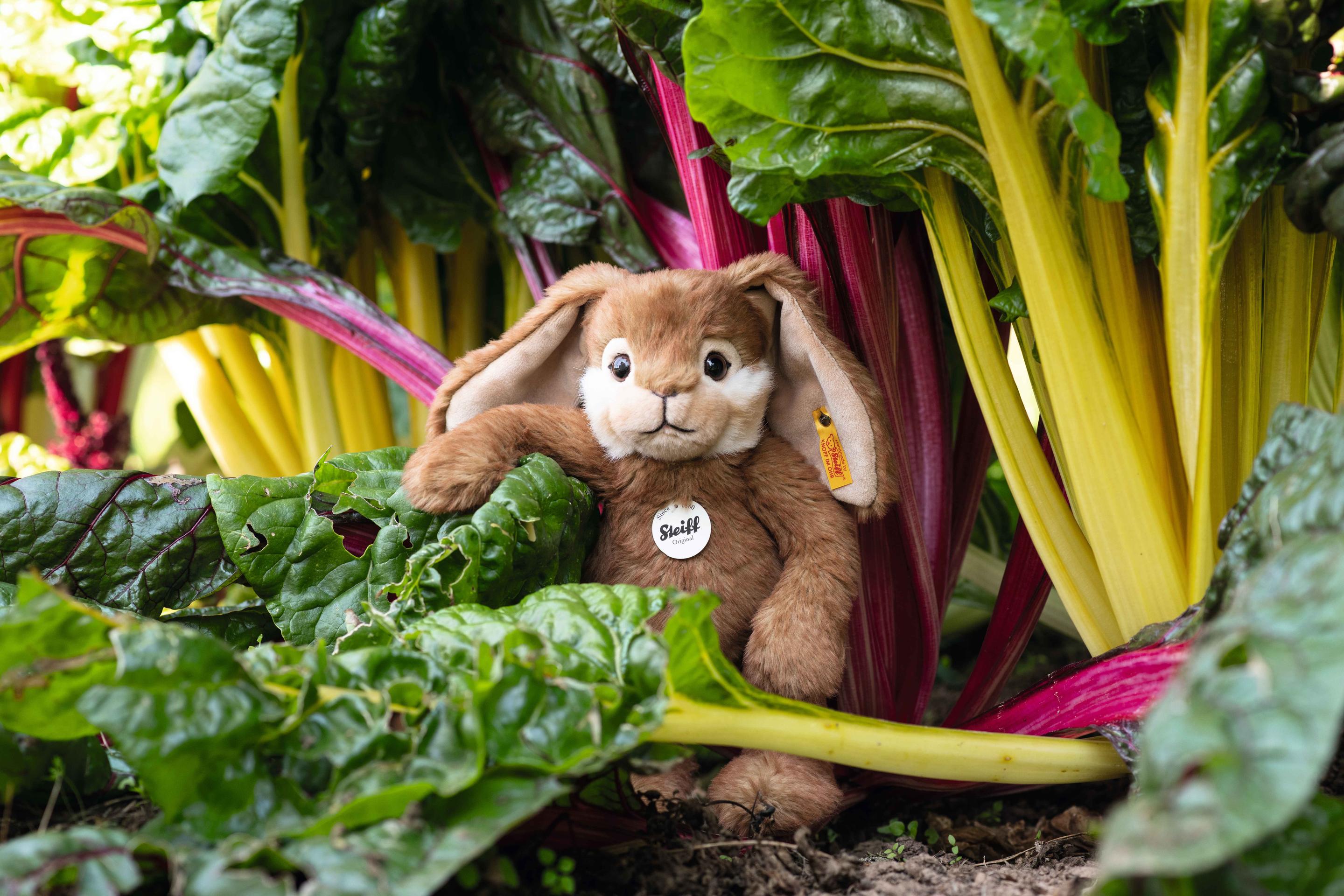 Produktbild Steiff - Bommel Schlenker-Hase 28 cm 2 von 3