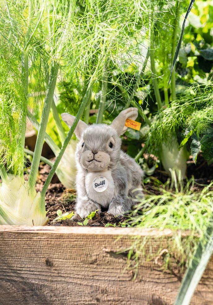 Produktbild Steiff - Dormili Hase 21 cm 3 von 4