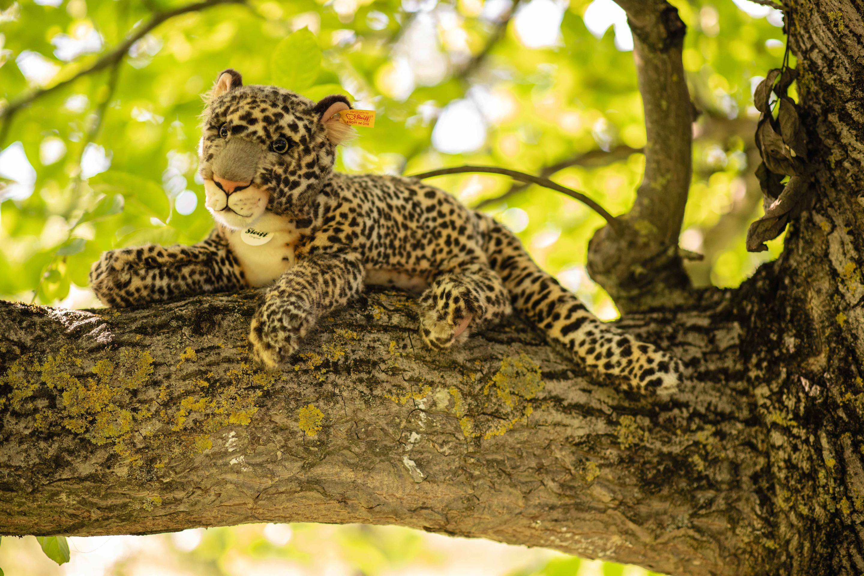 Produktbild Steiff - Parddy Leopard 36 cm 6 von 9