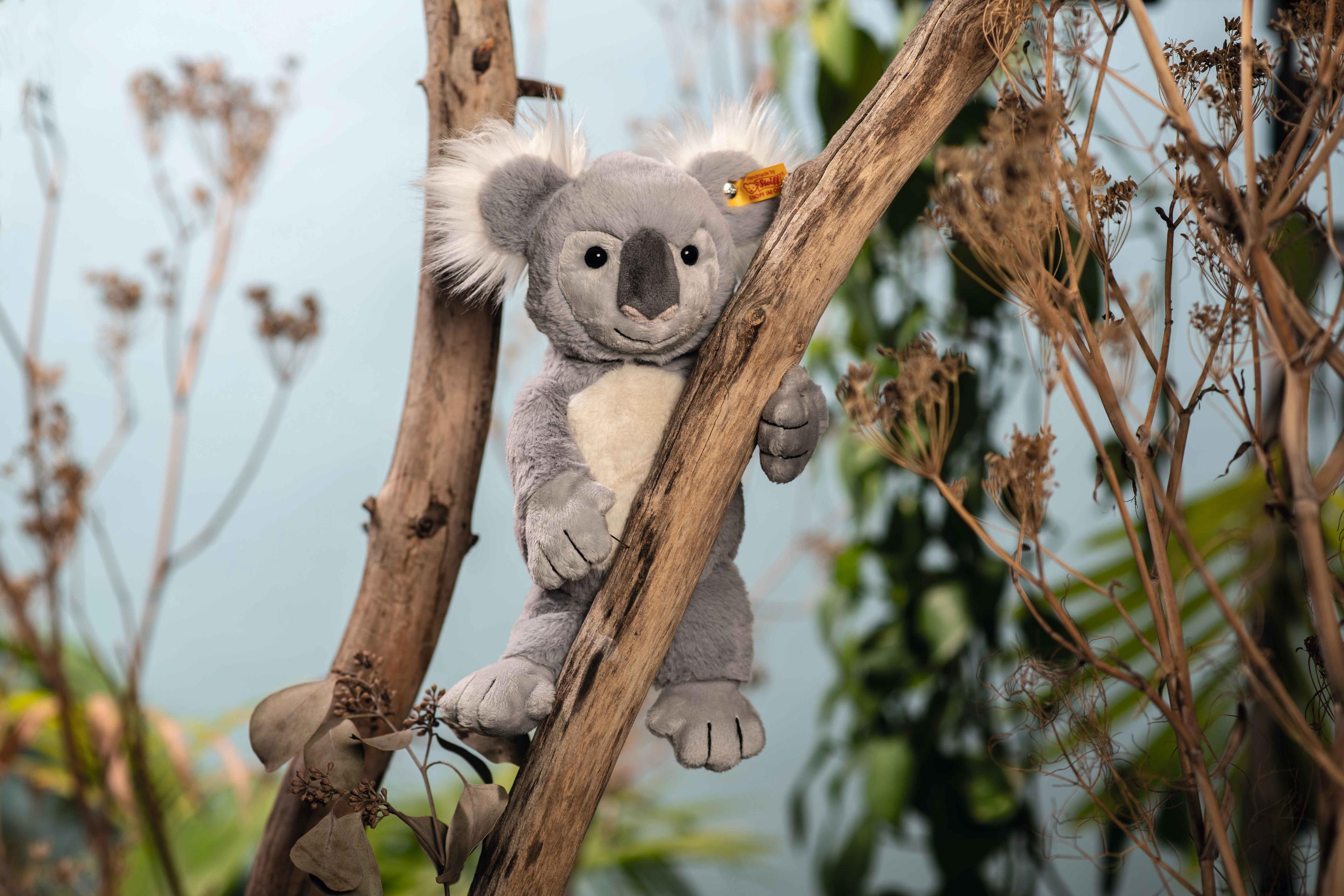Produktbild Steiff - 067587 Soft Cuddly Friends Nils Koala, 30 cm 2 von 3