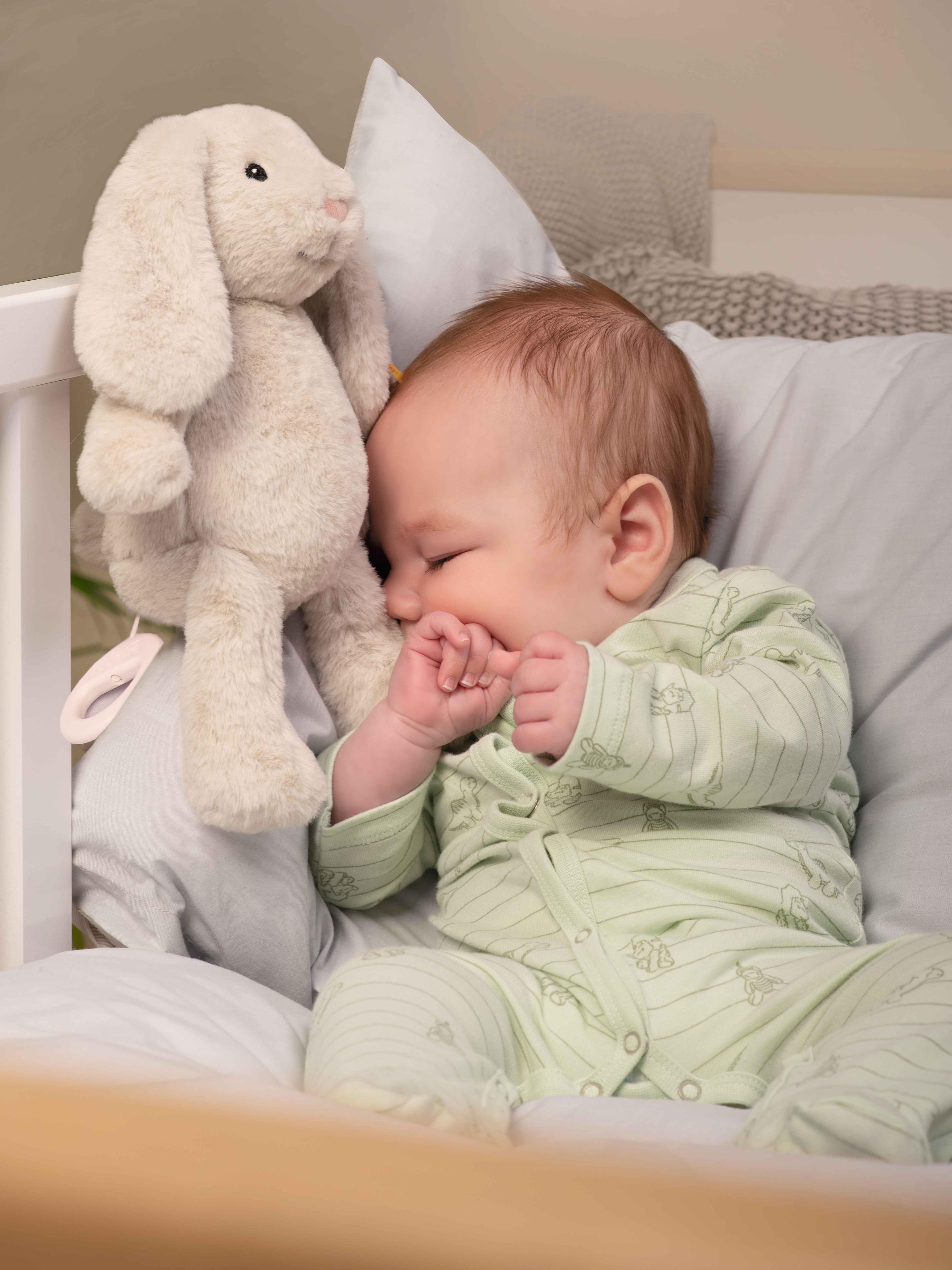 Produktbild Steiff - 242465 Soft Cuddly Friends My first Steiff Hoppie Hase Spieluhr 3 von 4