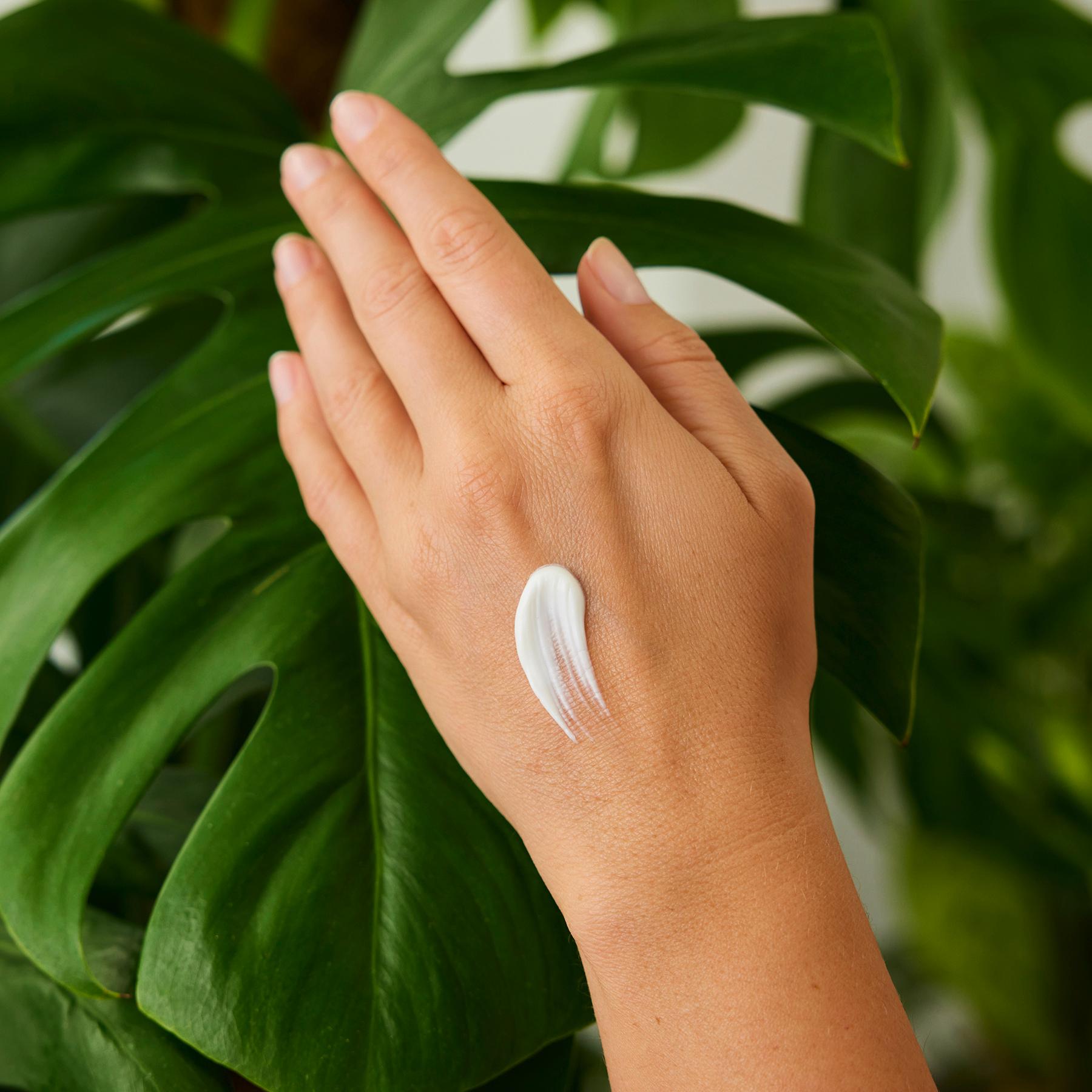 Produktbild WELEDA GRANATAPFEL Intensiv Handcreme 5 von 6