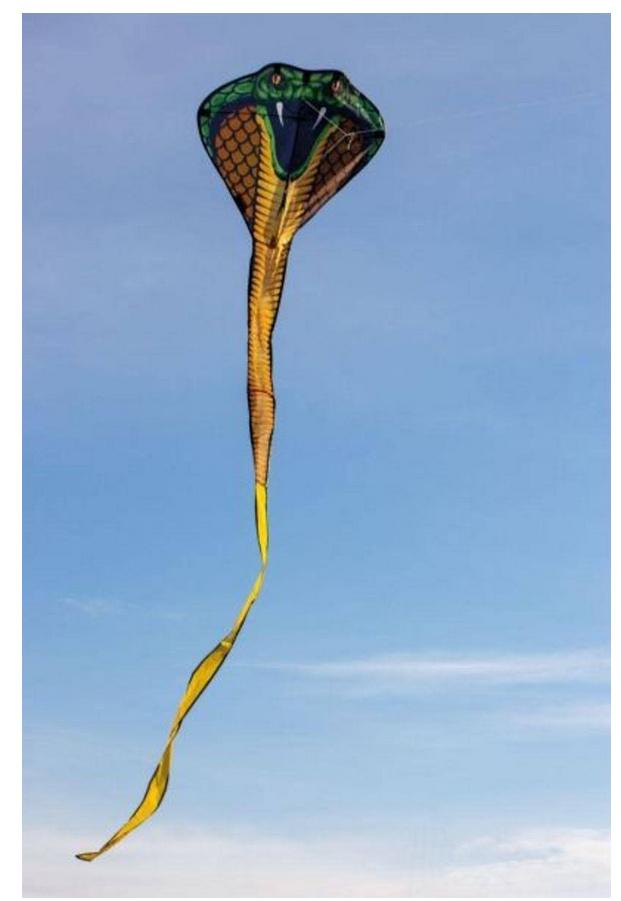 Produktbild Günther Flugmodelle - Einleiner-Drachen aus Polyester COBRA 2 von 3