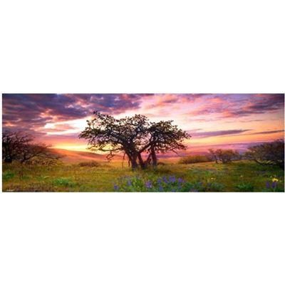 Produktbild Heye Panoramapuzzle 2000 Teile - Alexander von Humboldt, Oak Tree 3 von 3
