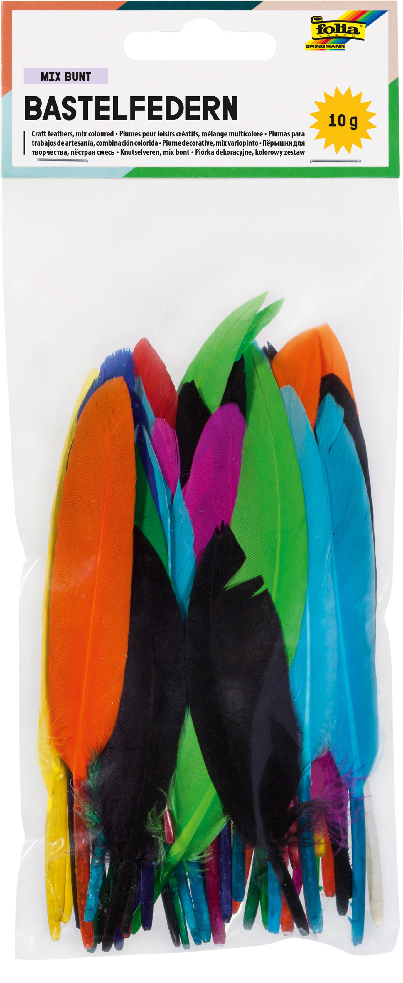 folia Indianerfedern farbig sortiert 10g