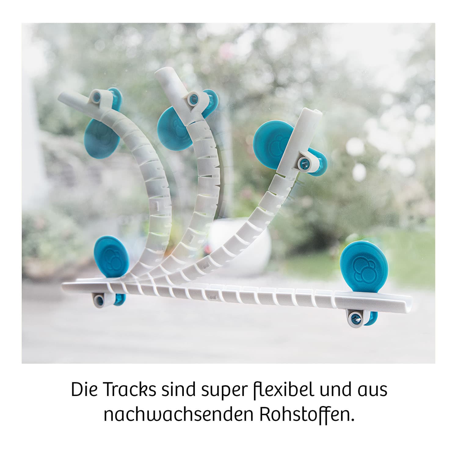 Produktbild KOSMOS - Gecko Run Challenge XXL 4 von 7