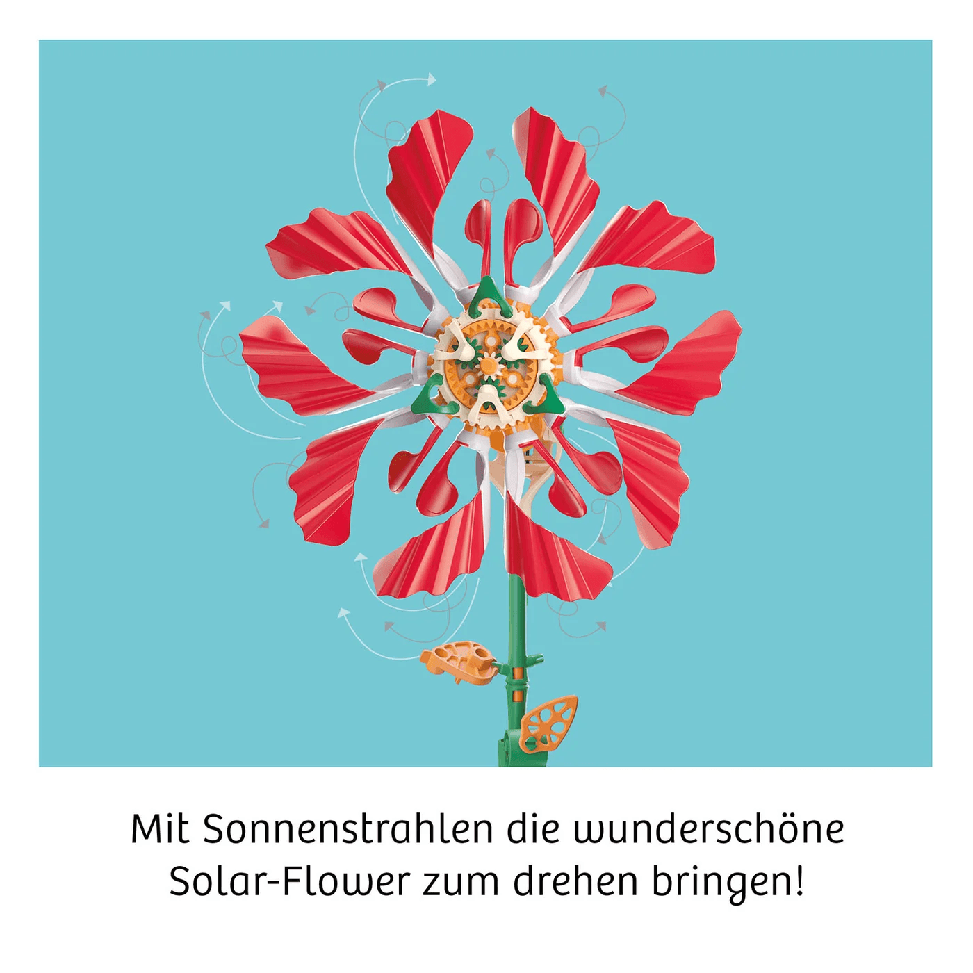 KOSMOS - Solar-Flower – solarbetriebene Blume mit Bewegungseffekt ab 8 Jahren