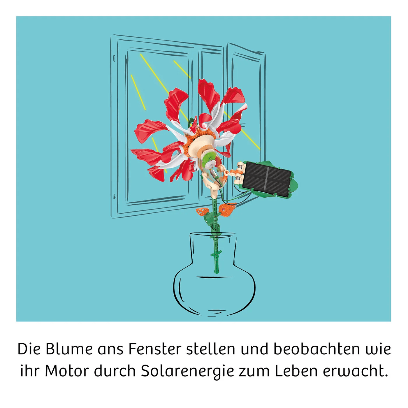 KOSMOS - Solar-Flower – solarbetriebene Blume mit Bewegungseffekt ab 8 Jahren