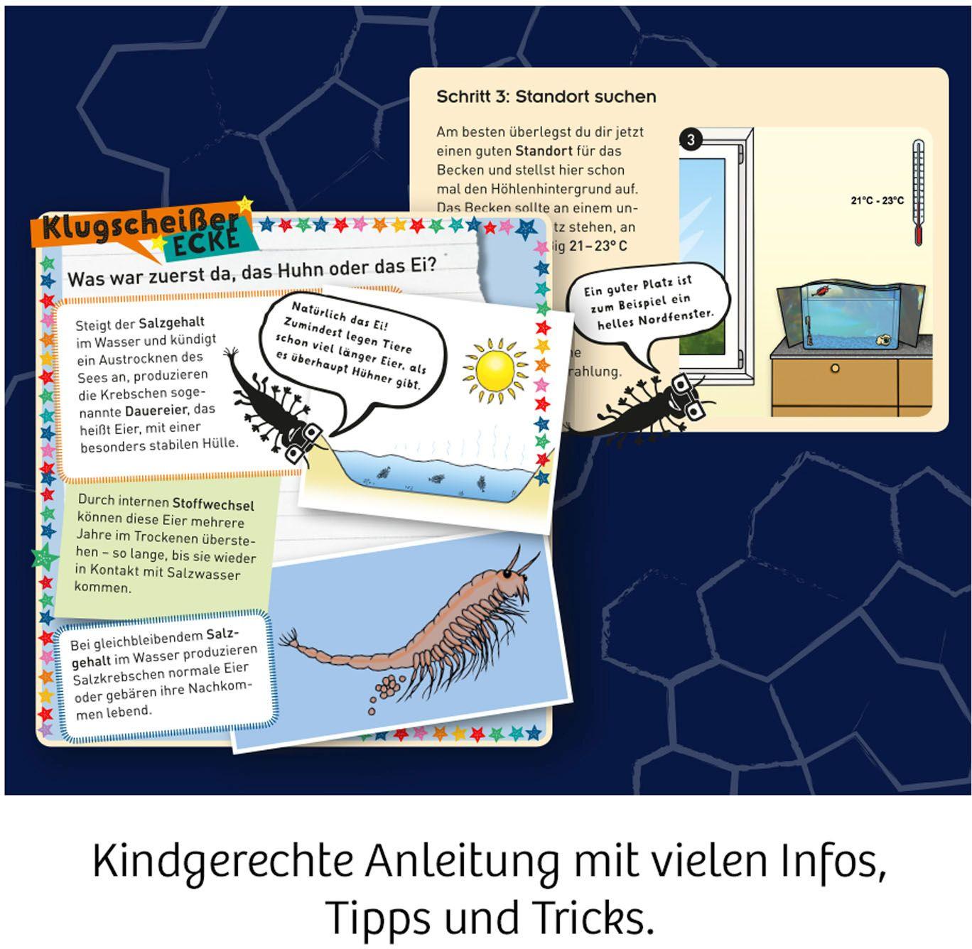 Produktbild KOSMOS -  Fun Science Wuselnde Salzkrebse Züchte Urzeitkrebse und entdecke ihren Lebensraum Experimentierkasten 3 von 7