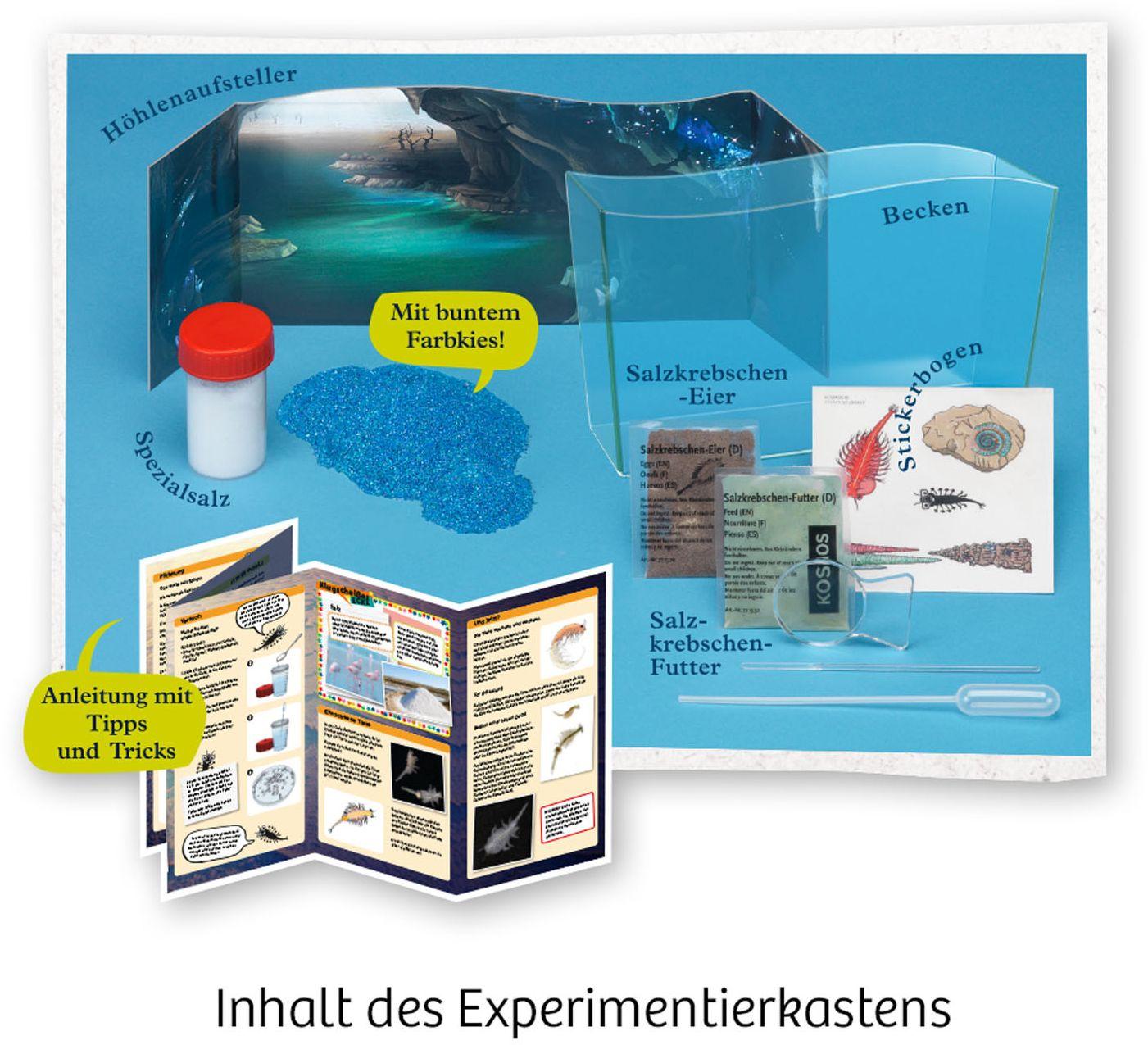Produktbild KOSMOS -  Fun Science Wuselnde Salzkrebse Züchte Urzeitkrebse und entdecke ihren Lebensraum Experimentierkasten 4 von 7