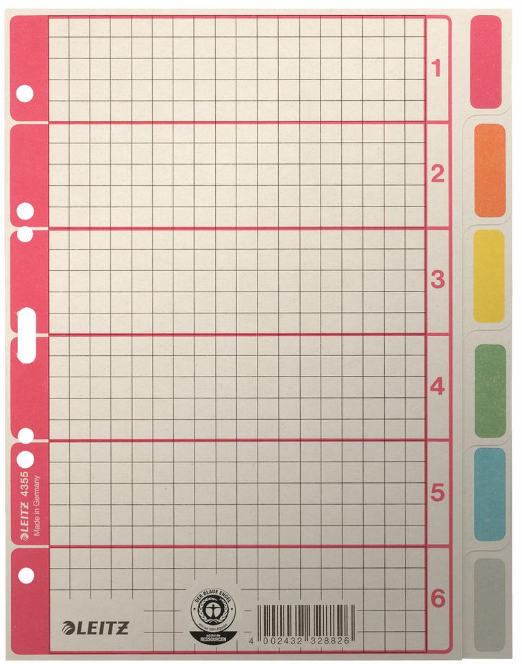 LEITZ Kartonregister blanko 6teilig
