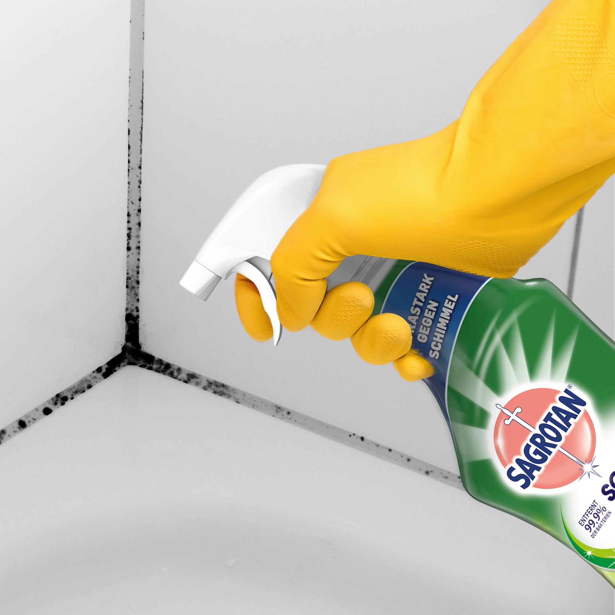 Produktbild Sagrotan Reiniger Schimmel Frei 3 von 7