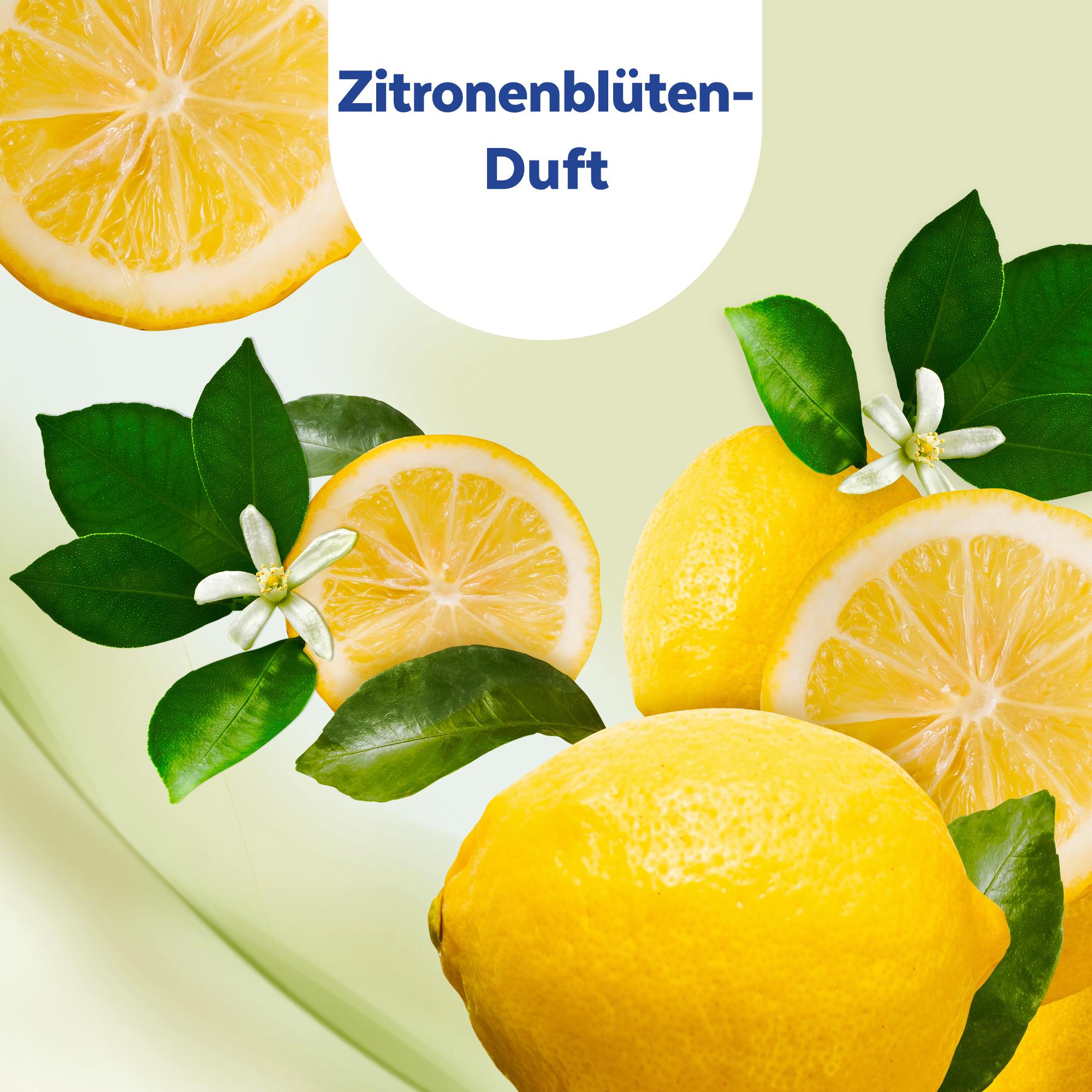 Produktbild Sagrotan 2in1 Desinfektions-Tücher für Hände und Oberflächen 4 von 7
