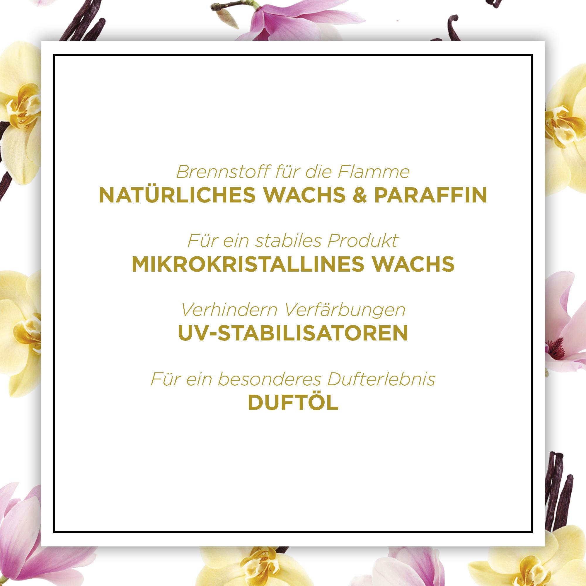 Produktbild Air Wick Botanica Duftkerze Himalaya-Magnolie & Vanille 4 von 8