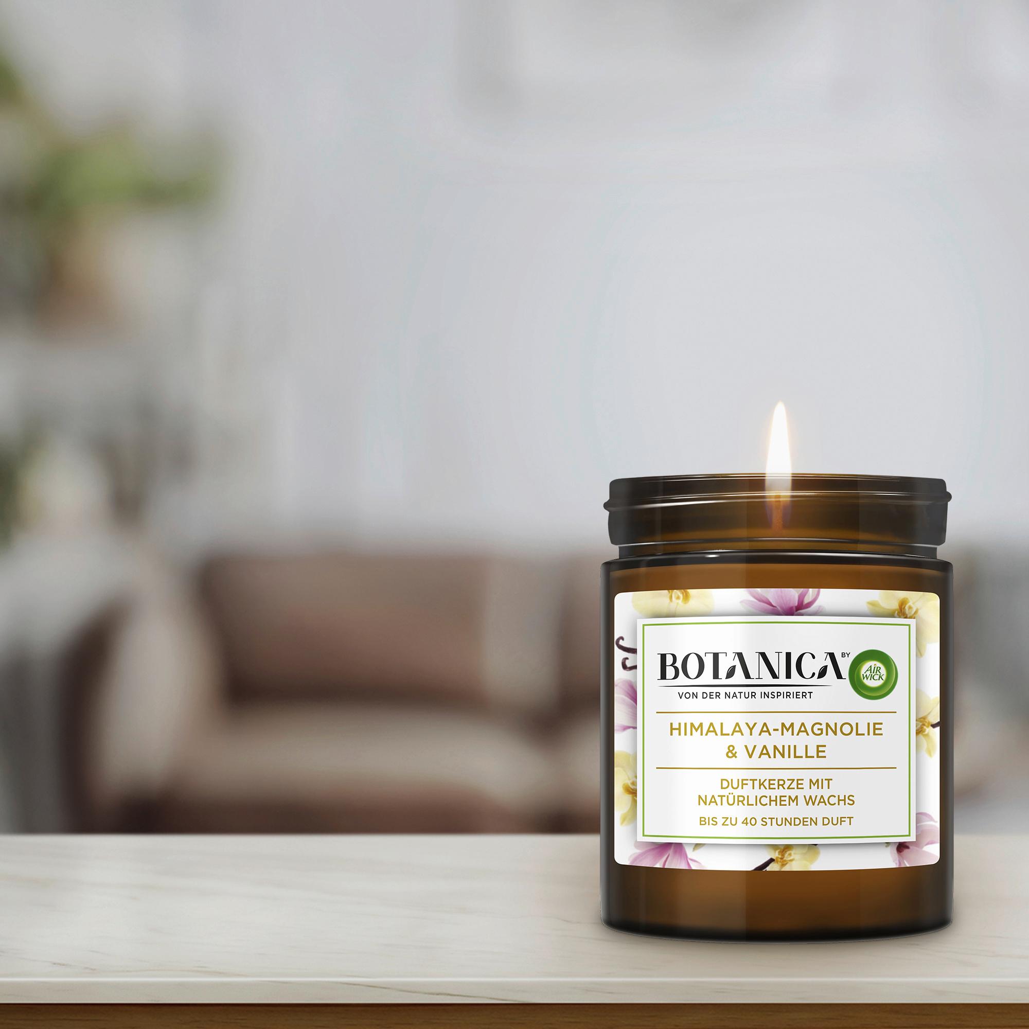Produktbild Air Wick Botanica Duftkerze Himalaya-Magnolie & Vanille 5 von 8