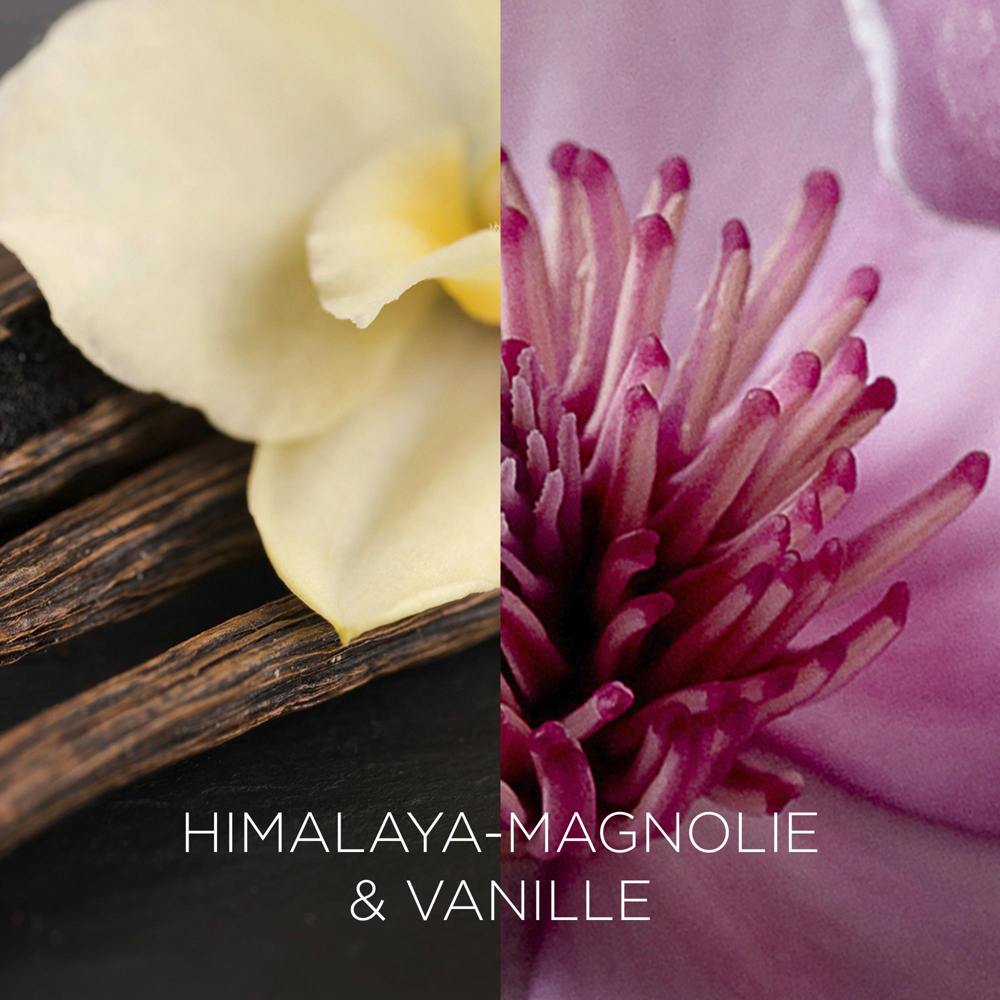 Produktbild Air Wick Botanica Duftkerze Himalaya-Magnolie & Vanille 7 von 8