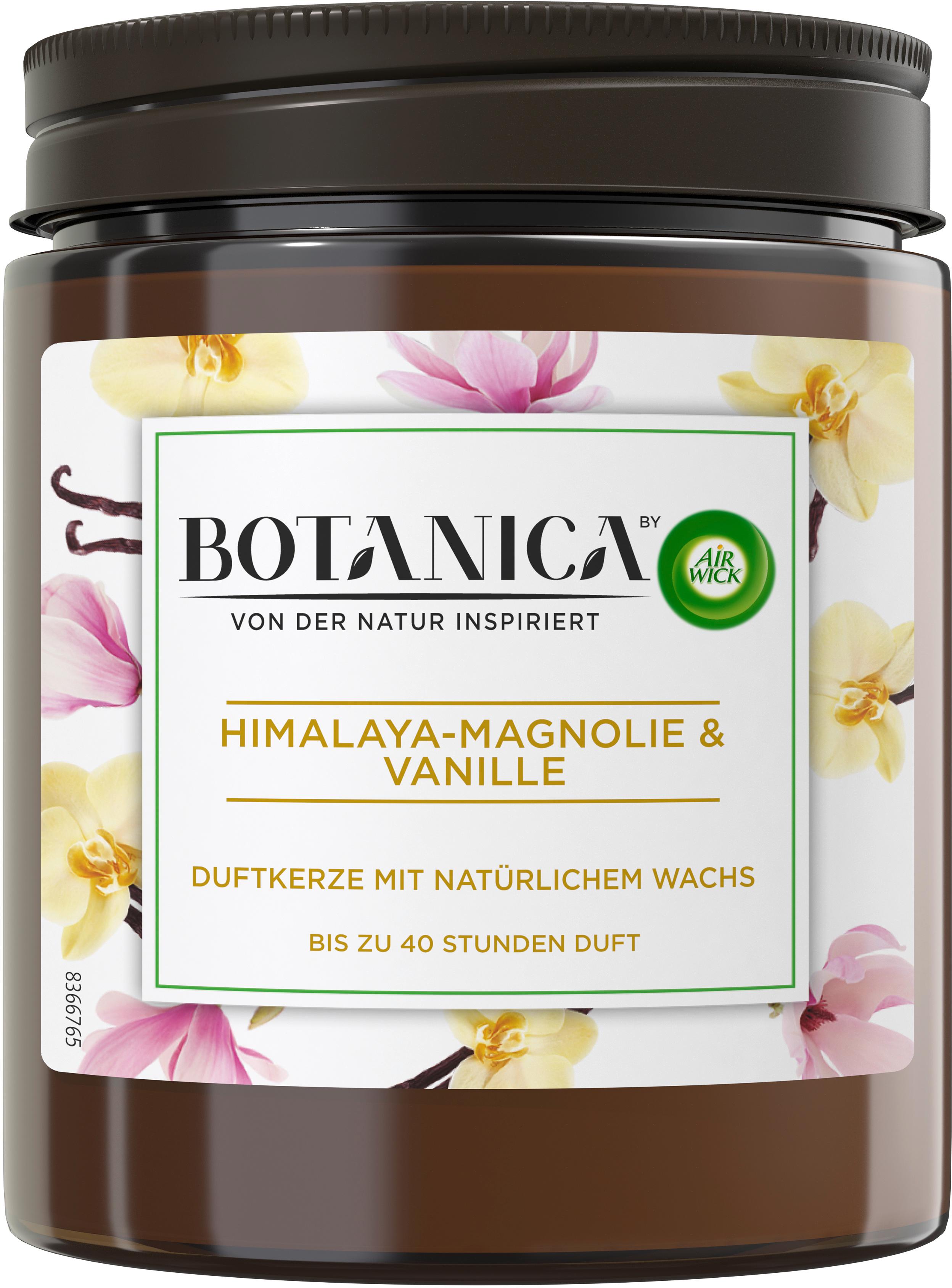 Air Wick Botanica Duftkerze Himalaya-Magnolie&Vanille