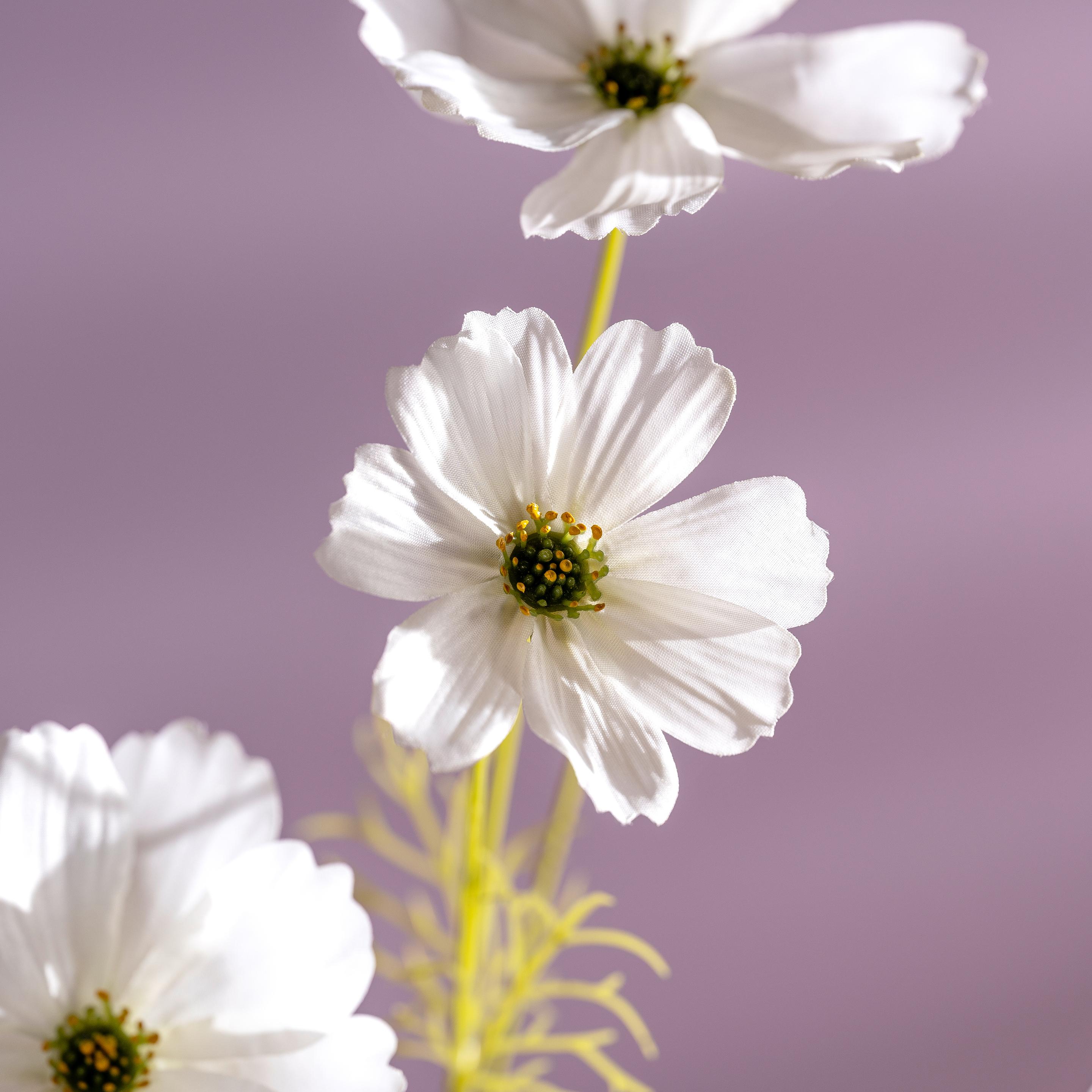 Produktbild LEONARDO Cosmea Kunstblume 2 von 3