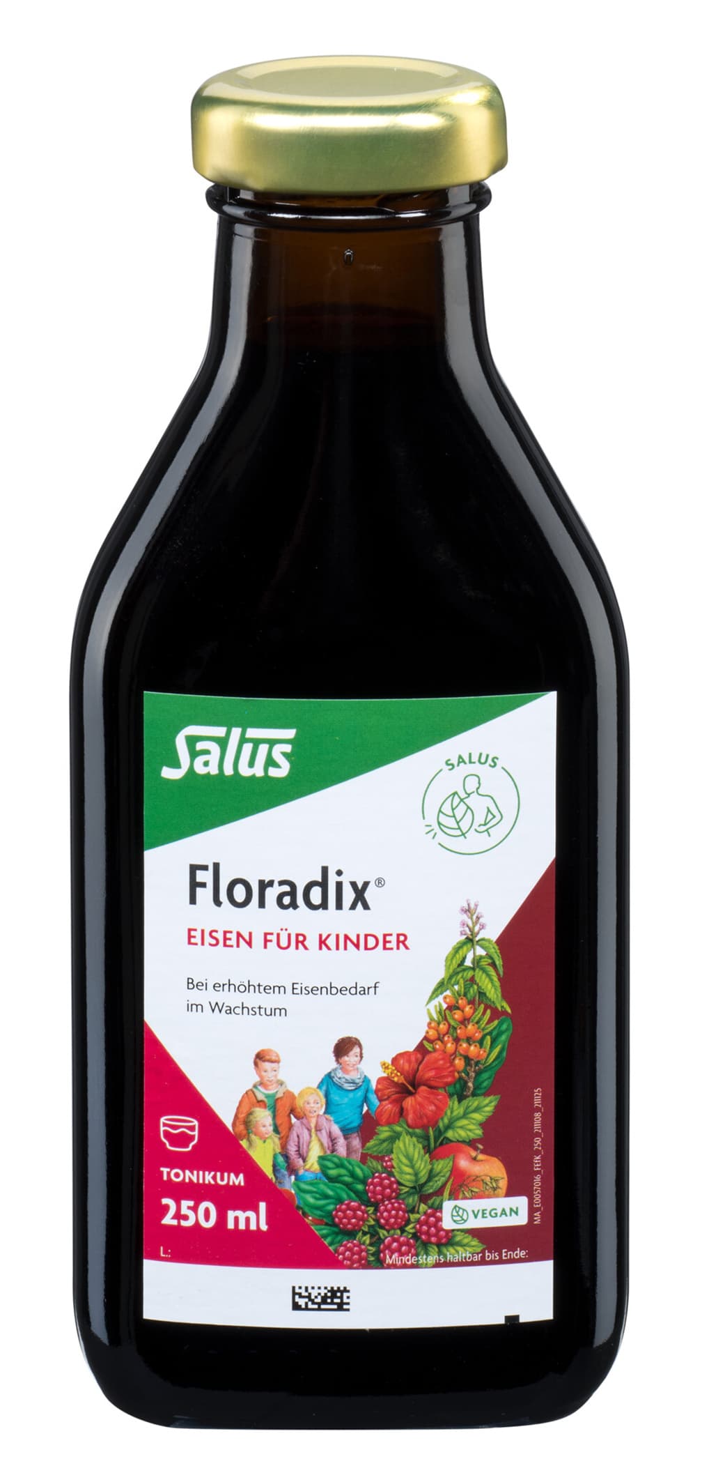Salus Floradix® Eisen für Kinder