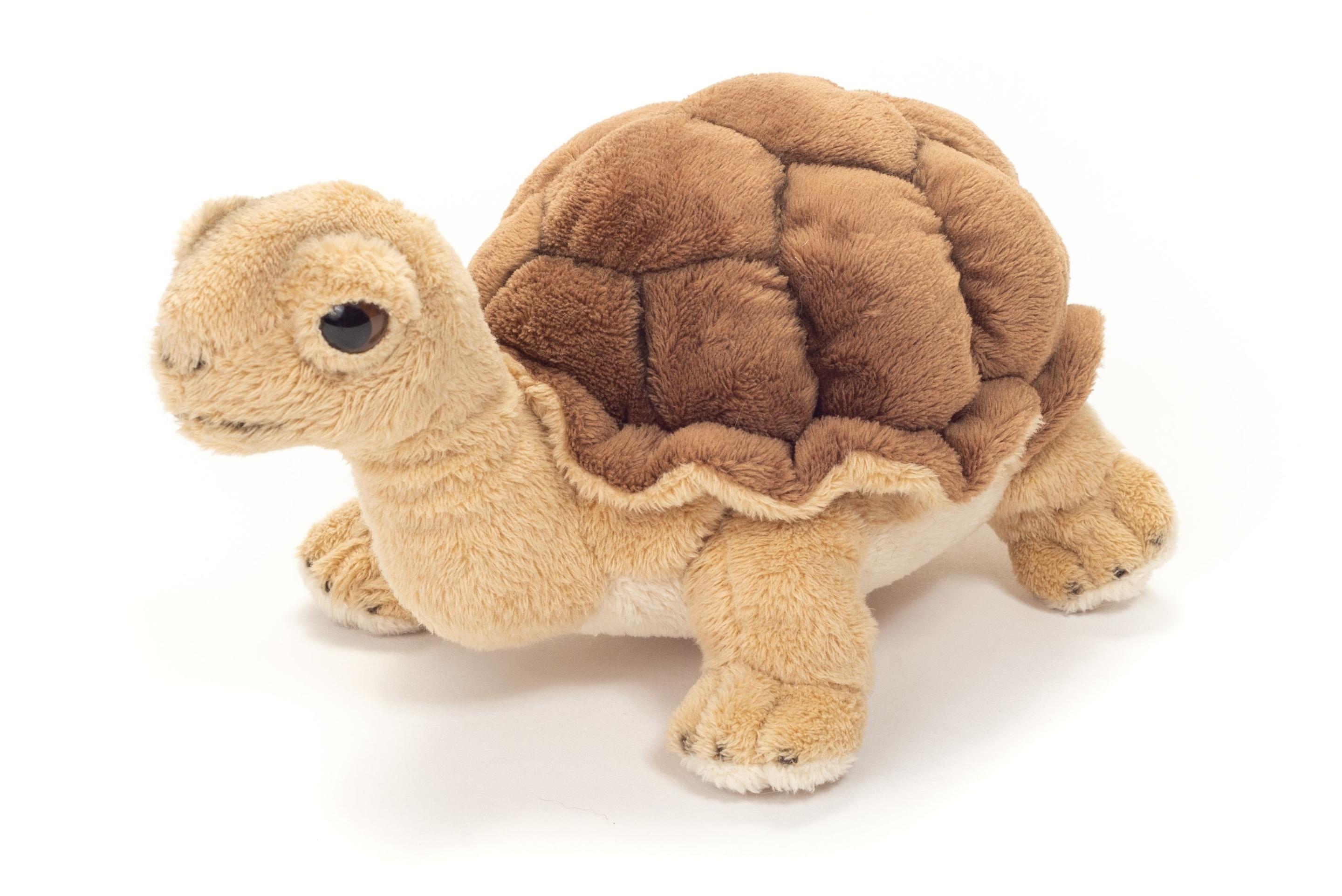 Teddy-Hermann - Schildkröte, 20 cm
