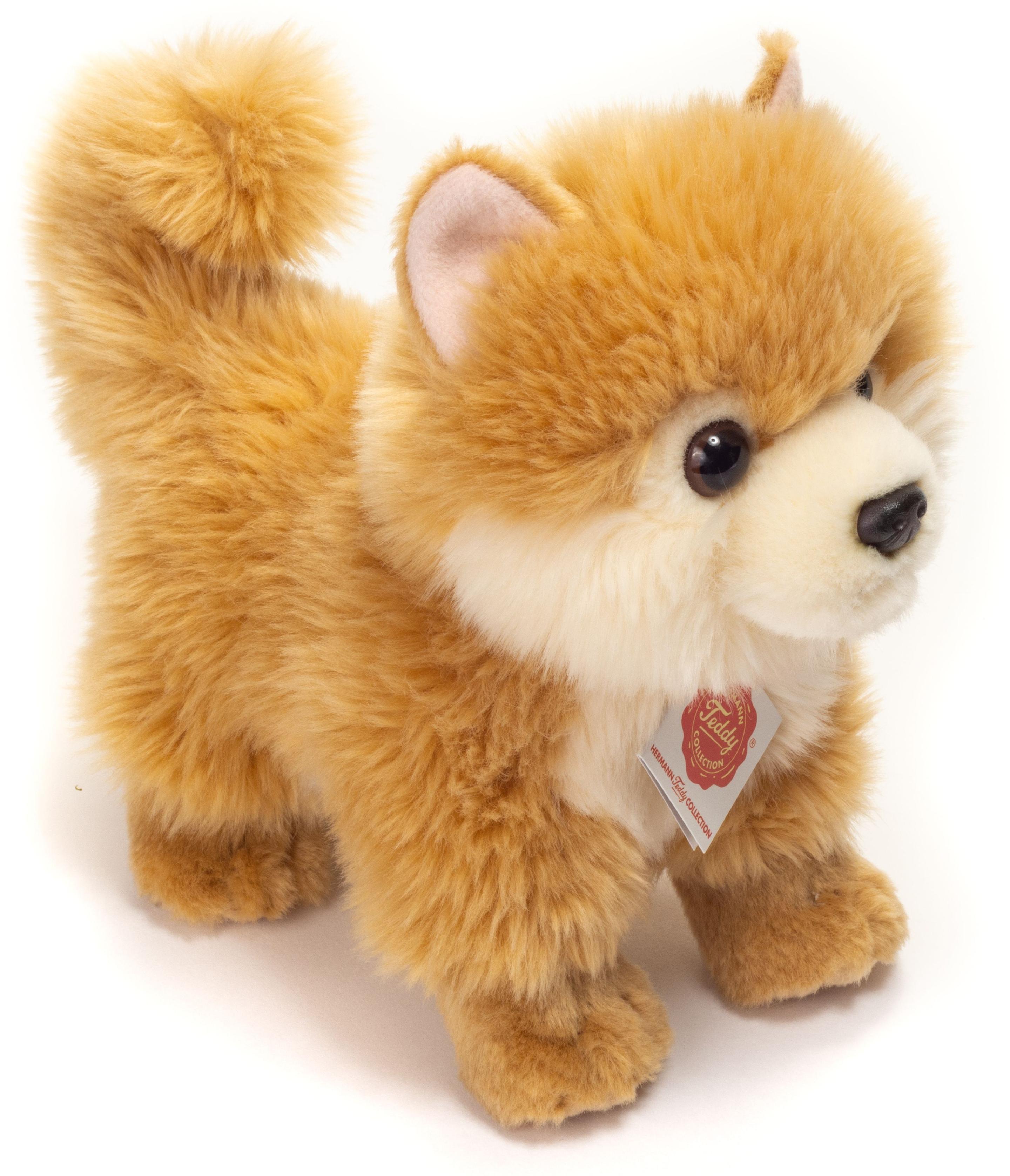 Teddy-Hermann - Zwergspitz, 22 cm