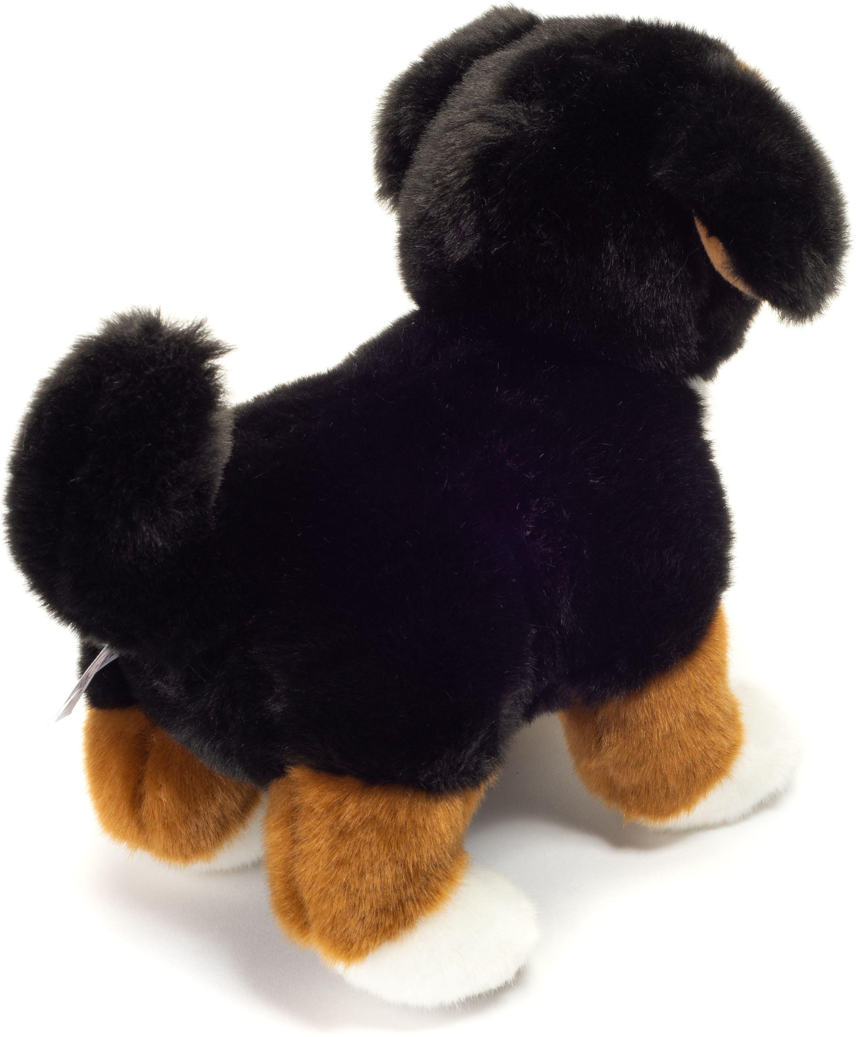 Produktbild Teddy-Hermann - Berner Sennenhund Welpe stehend, 23 cm 4 von 6