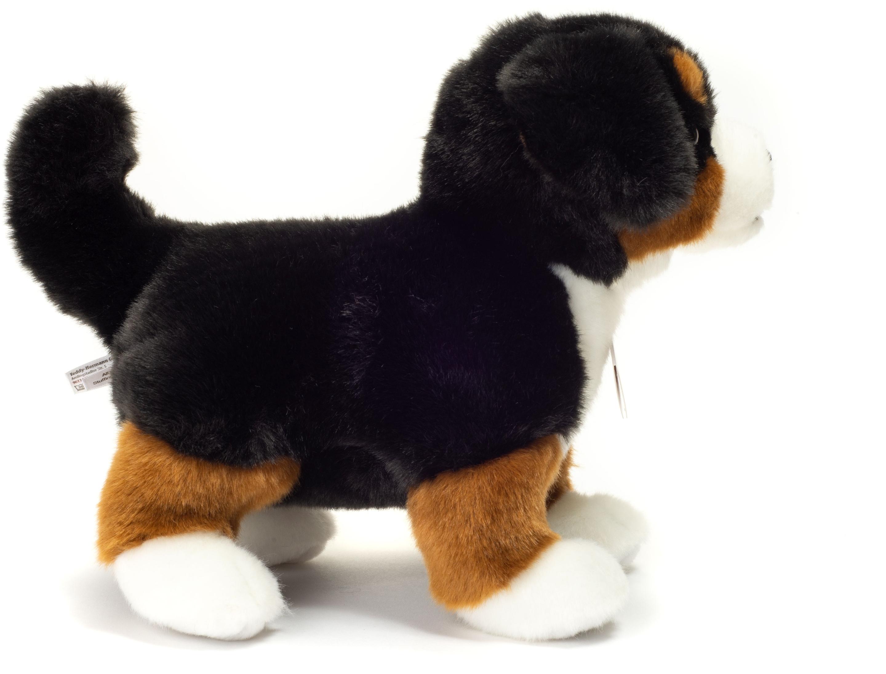 Produktbild Teddy-Hermann - Berner Sennenhund Welpe stehend, 23 cm 5 von 6