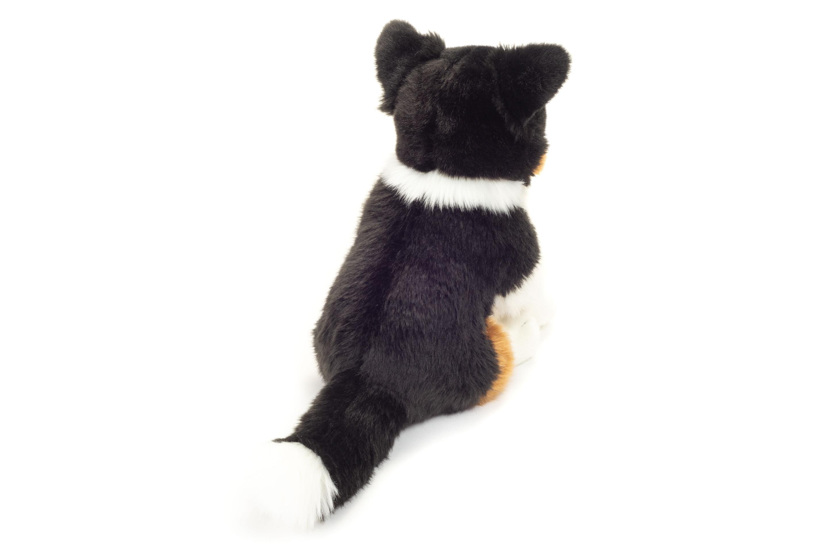 Produktbild Teddy-Hermann - Border Collie, 30 cm 3 von 4
