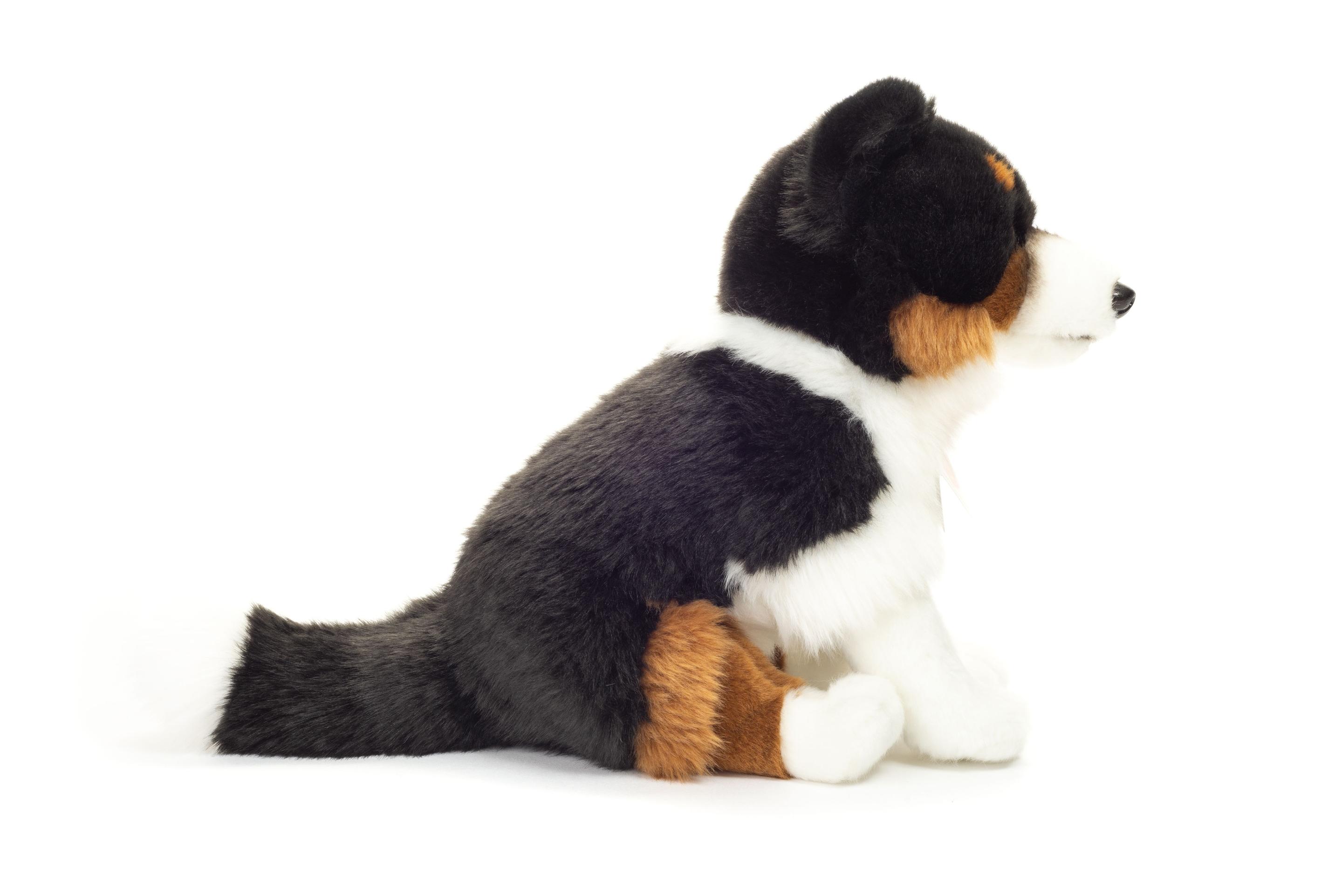 Produktbild Teddy-Hermann - Border Collie, 30 cm 4 von 4