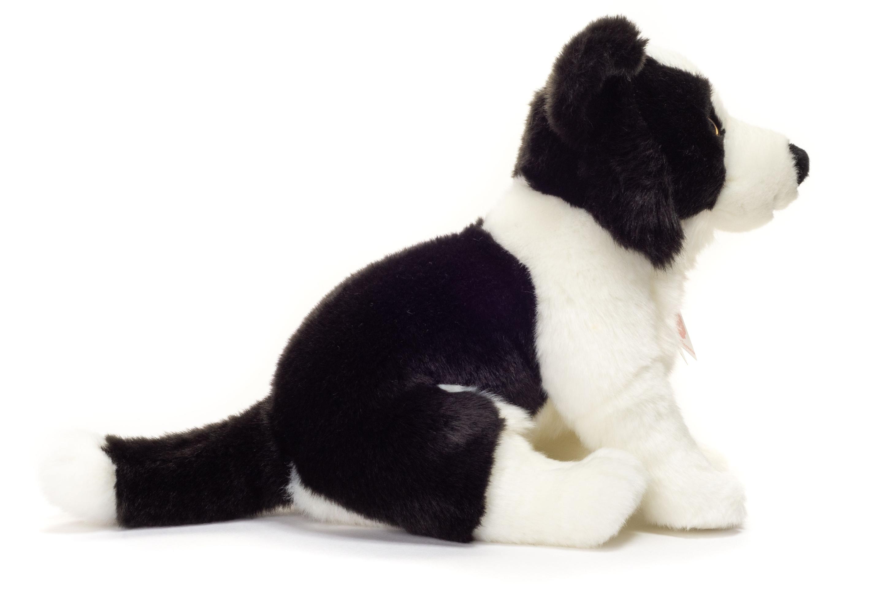 Produktbild Teddy-Hermann - Kuscheltier Border Collie Welpe sitzend 25 cm 3 von 3