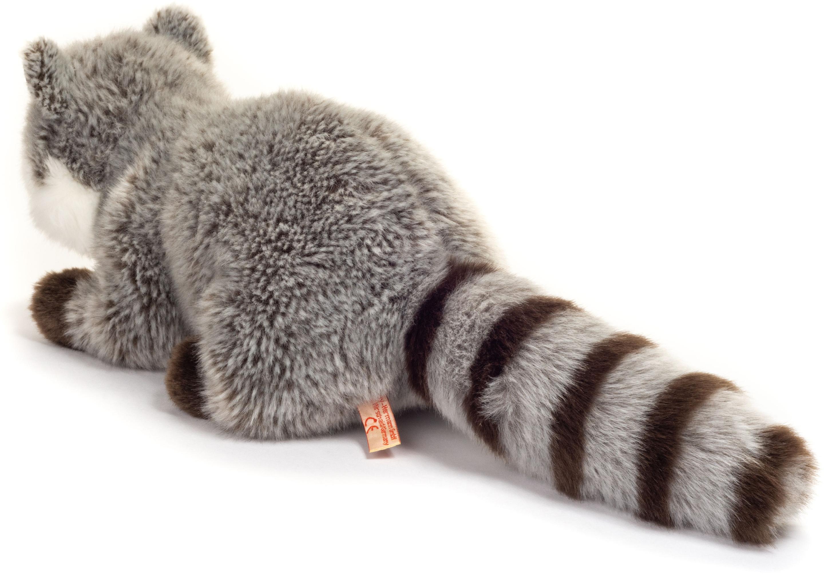 Produktbild Teddy-Hermann - Waschbär, 29 cm 3 von 4