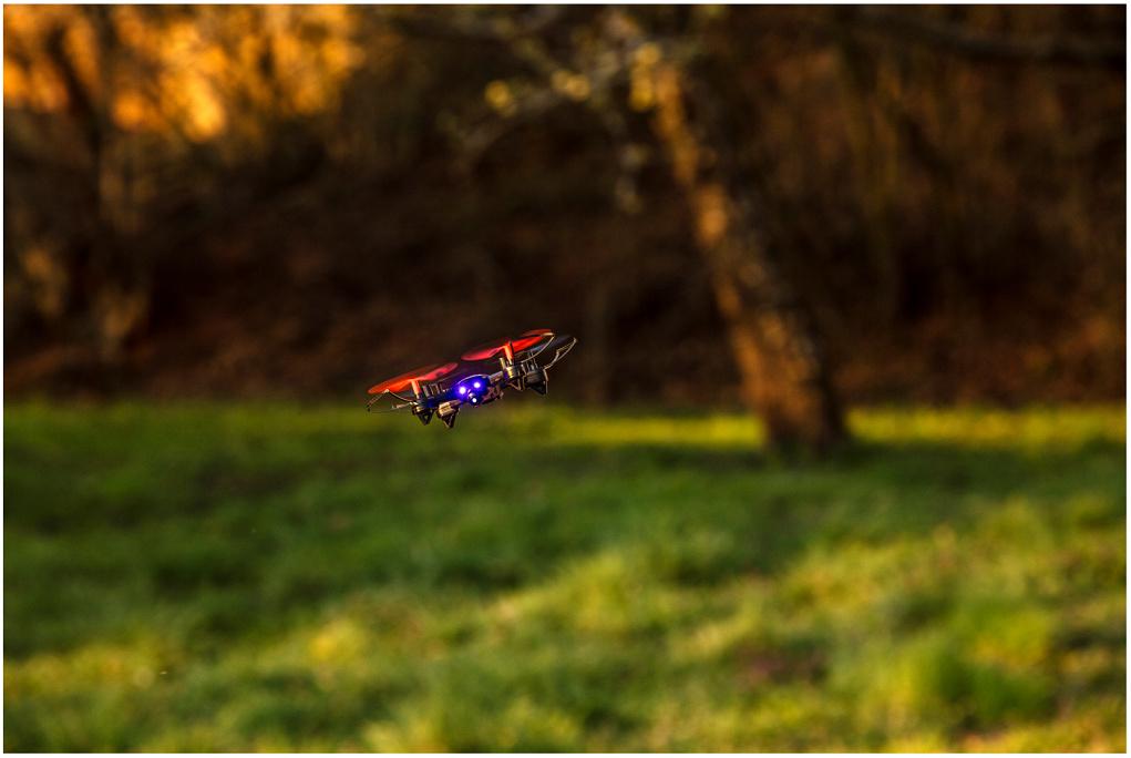Produktbild Carson - X4 Quadcopter Angry Bug 500507153 2 von 6