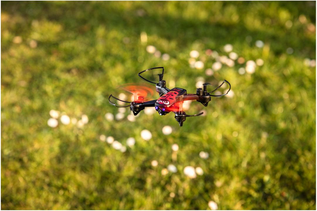 Produktbild Carson - X4 Quadcopter Angry Bug 500507153 6 von 6