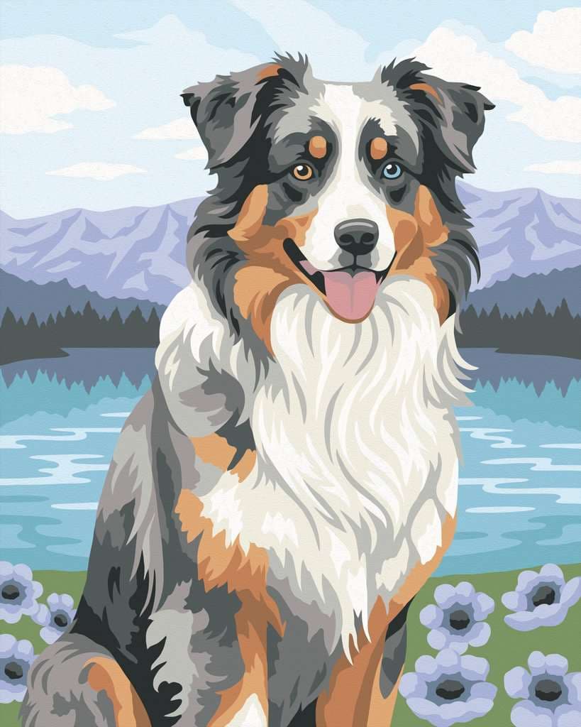 Ravensburger CreArt 12023114 - Australian Shepherd Merlin - Malen nach Zahlen ab 12 Jahren