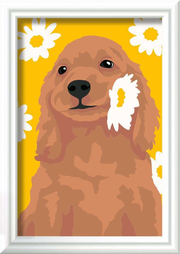 Ravensburger CreArt, Malen nach Zahlen Kinder - Cocker Spaniel Sunny