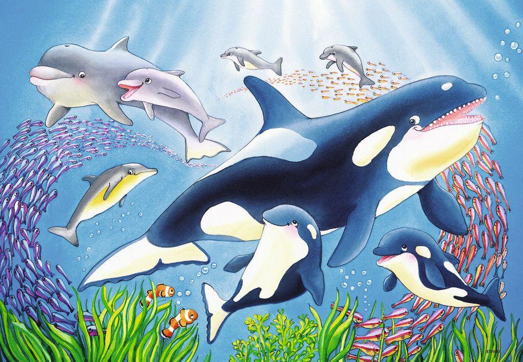 Produktbild Ravensburger Puzzle - Kunterbunte Unterwasserwelt, 2x24 Teile 3 von 3